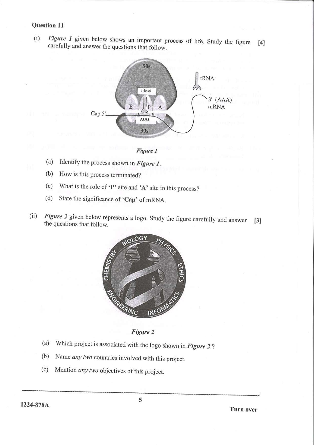 ISC Class 12 Biotechnology 2024 Question Paper - Page 5