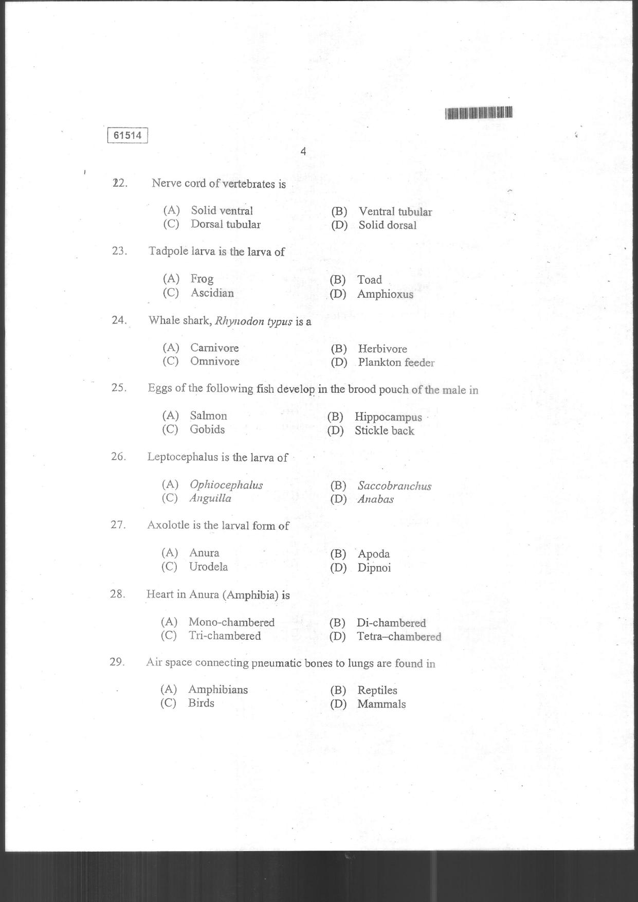 CUSAT CAT 2014 Life Science Question Paper - Page 32