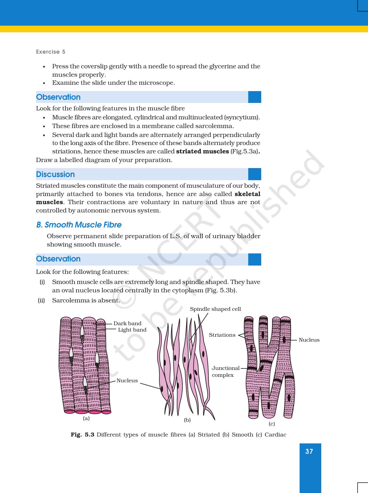 NCERT Laboratory Manuals for Class XI Biology - Exercise 5 - Page 5