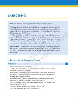 NCERT Laboratory Manuals for Class XI Biology - Exercise 5