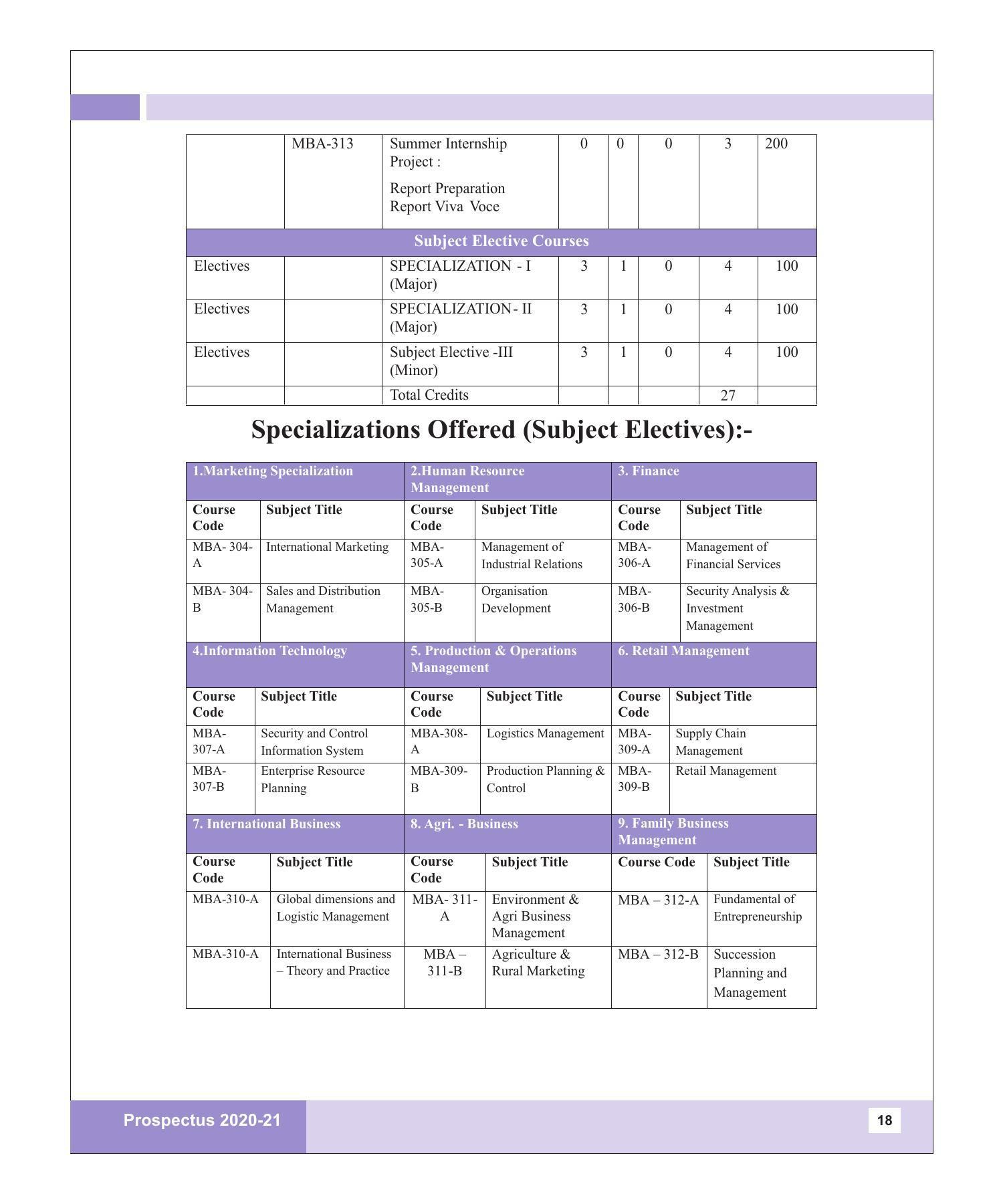 Rajasthan Vidyapeeth University, Udaipur MANAGEMENT STUDIES Prospectus 2020-21 - Page 18