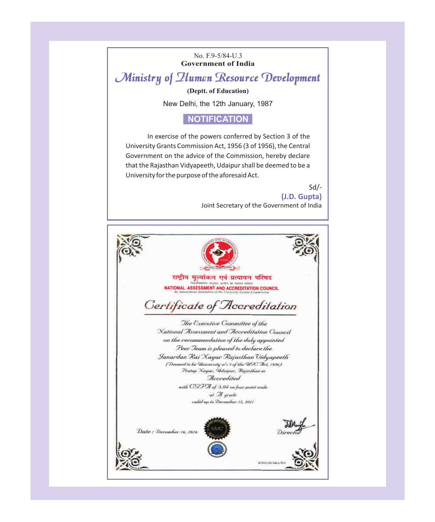 Rajasthan Vidyapeeth University, Udaipur MANAGEMENT STUDIES Prospectus 2020-21 - Page 39