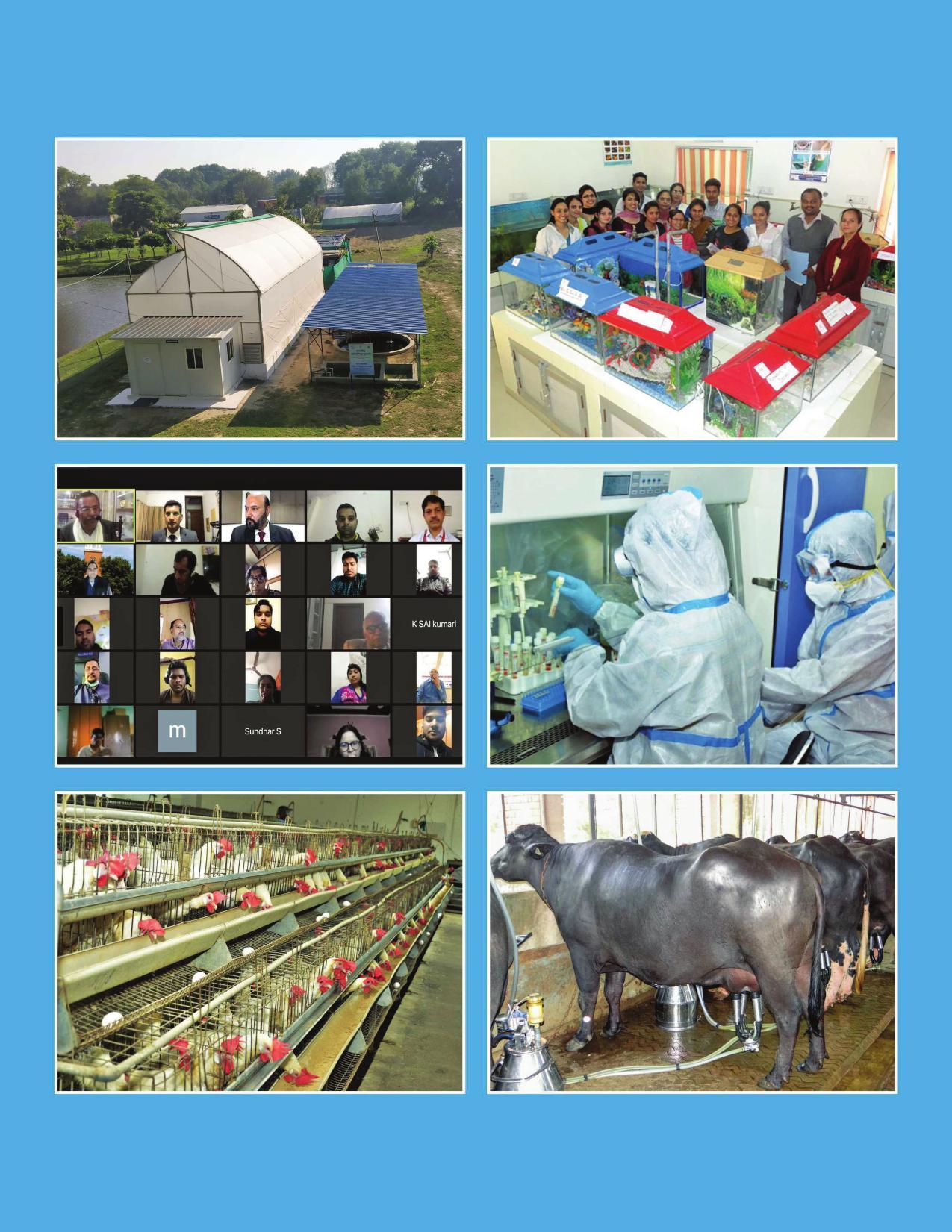Guru Angad Dev Veterinary and Animal Sciences University, Ludhiana Prospectus 2021-22 - Page 105