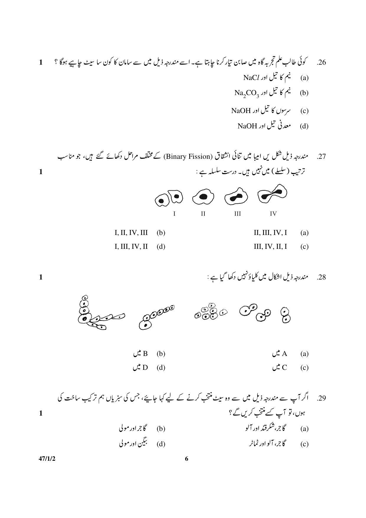 CBSE Class 10 47-1-2 Science 2017-comptt Question Paper - Page 6