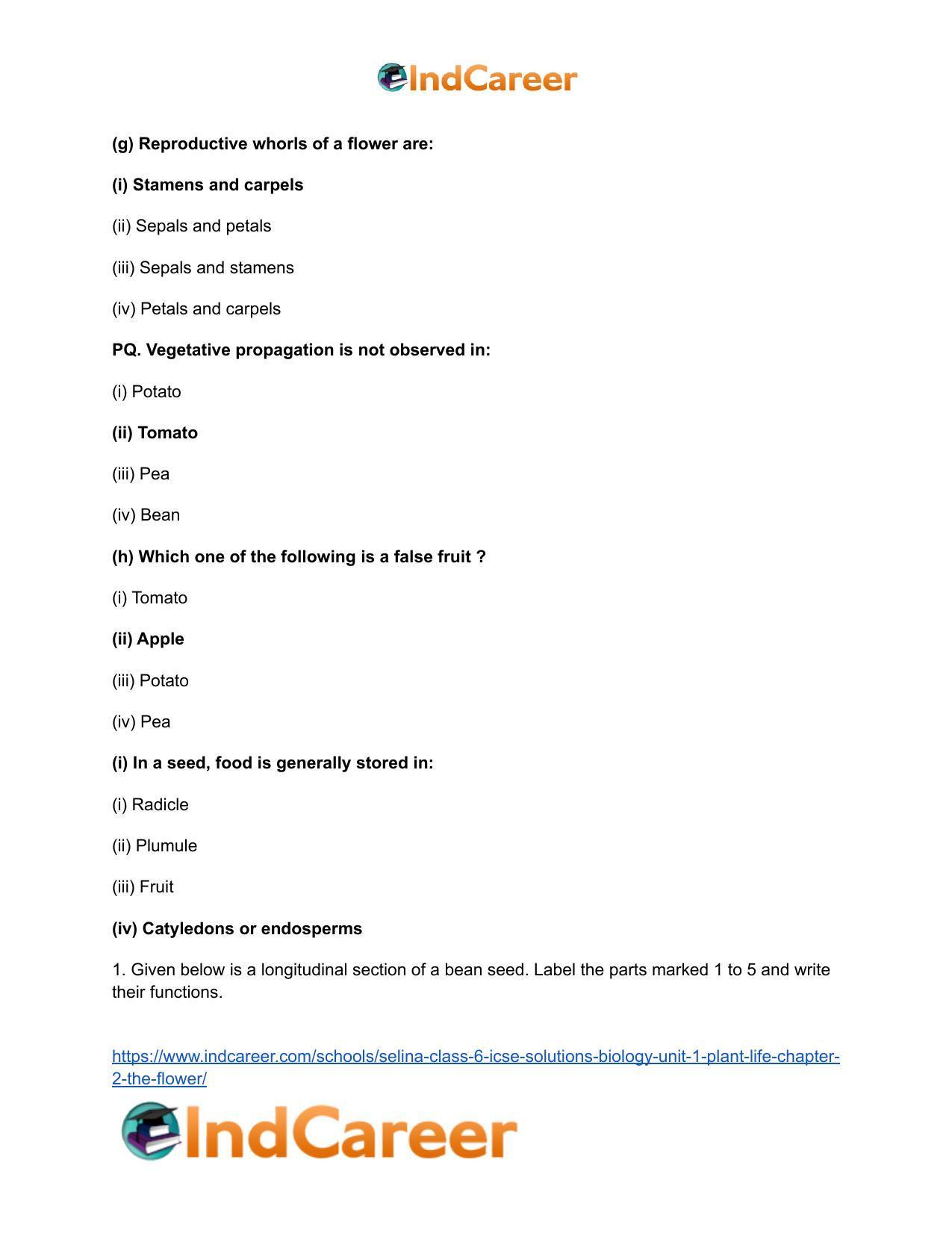 Selina Class 6 ICSE Solutions Biology (Unit 1) - Plant Life: Chapter 2- The Flower - Page 4
