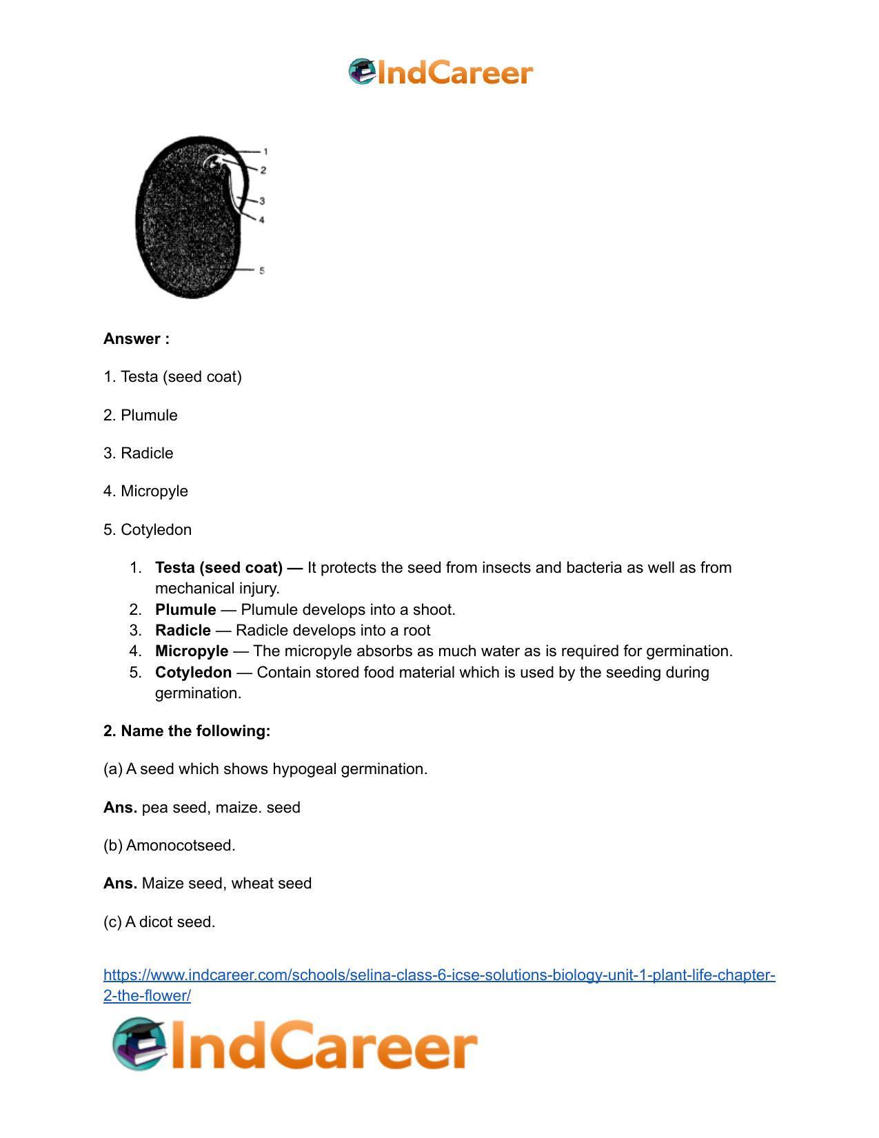 Selina Class 6 ICSE Solutions Biology (Unit 1) - Plant Life: Chapter 2- The Flower - Page 5