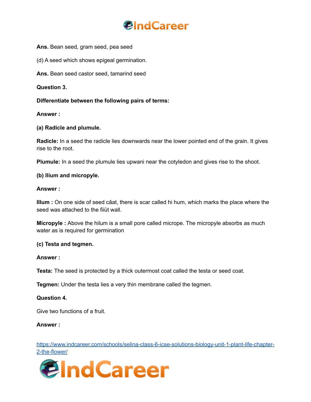 Selina Class 6 ICSE Solutions Biology (Unit 1) - Plant Life: Chapter 2- The Flower - Page 6
