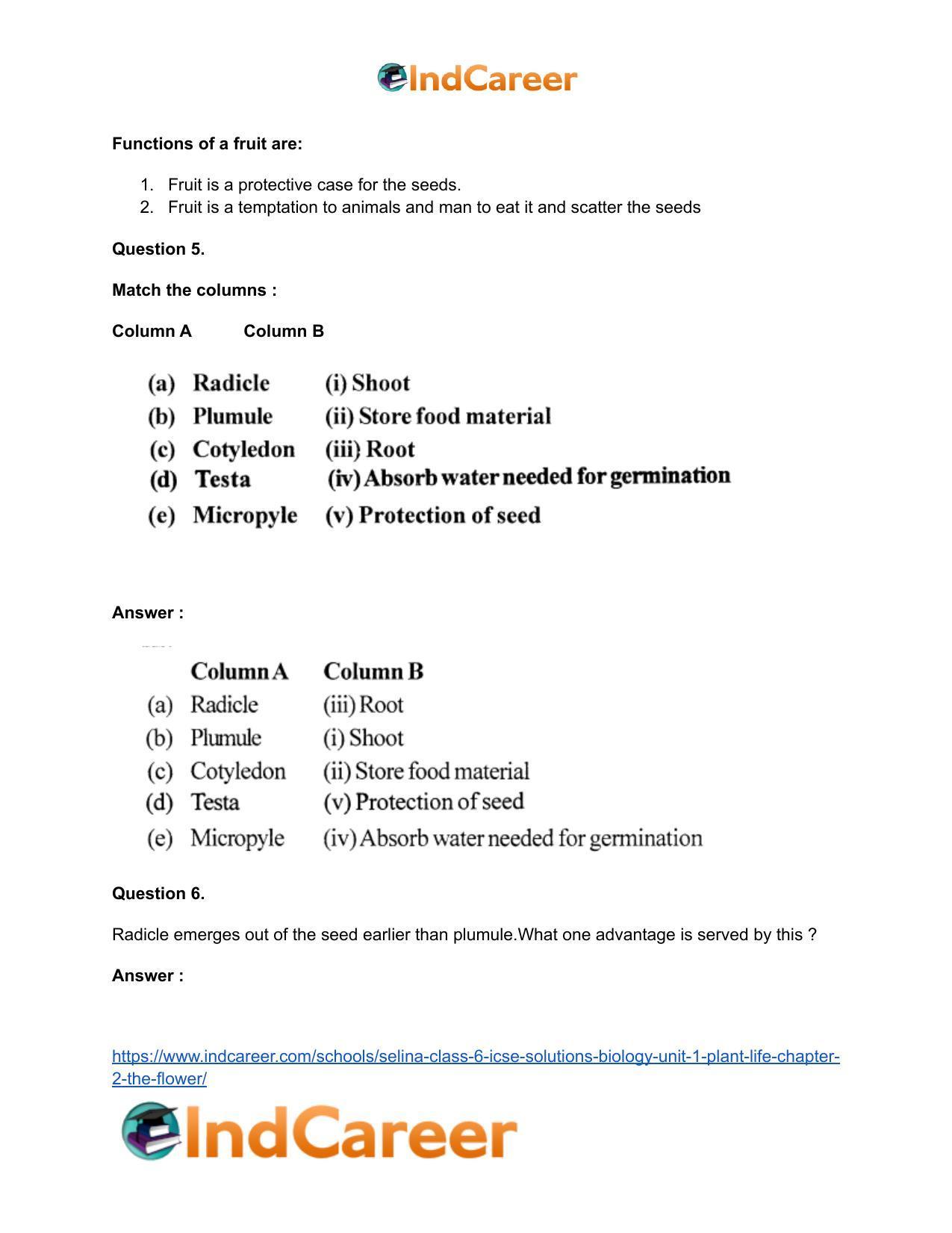 Selina Class 6 ICSE Solutions Biology (Unit 1) - Plant Life: Chapter 2- The Flower - Page 7