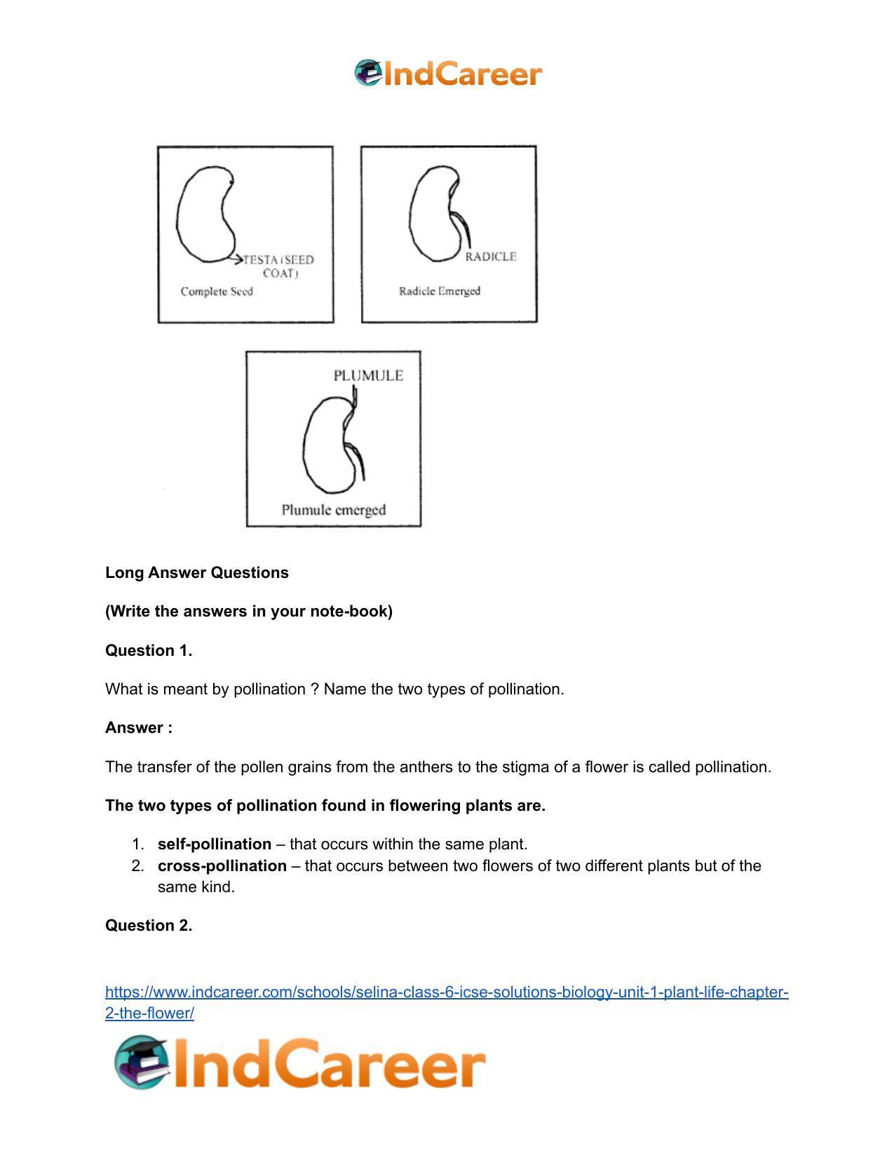 Selina Class 6 ICSE Solutions Biology (Unit 1) - Plant Life: Chapter 2- The Flower - Page 10
