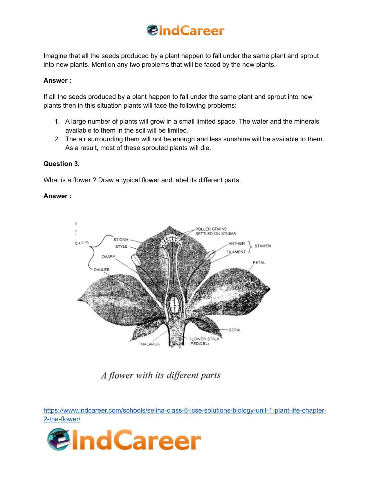 Selina Class 6 ICSE Solutions Biology (Unit 1) - Plant Life: Chapter 2- The Flower - Page 11