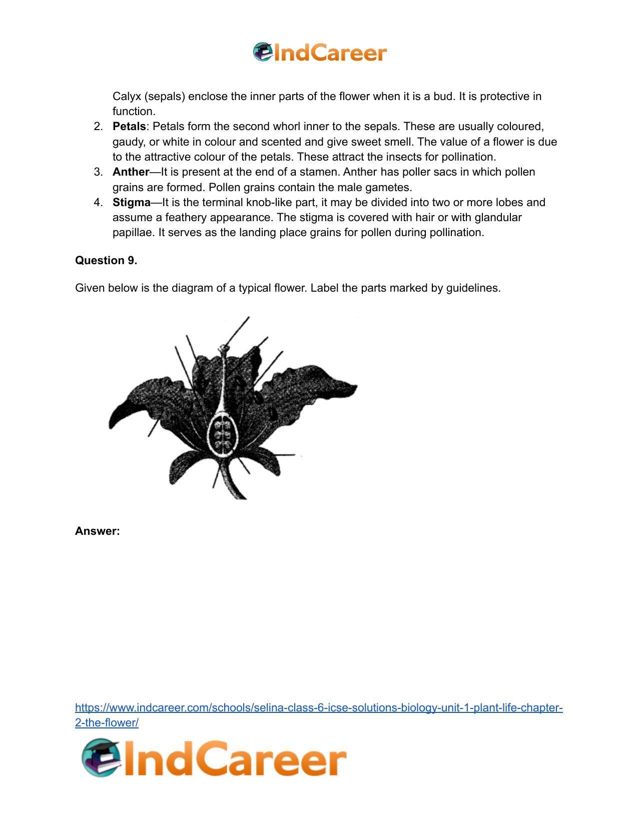 Selina Class 6 ICSE Solutions Biology (Unit 1) - Plant Life: Chapter 2- The Flower - Page 17