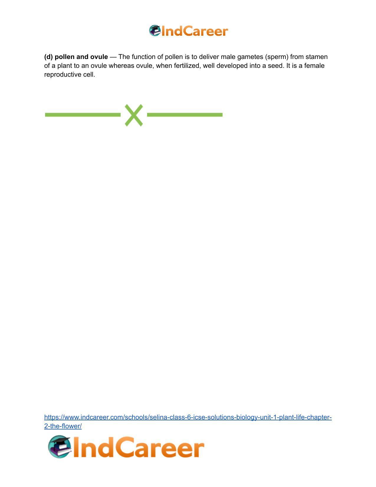 Selina Class 6 ICSE Solutions Biology (Unit 1) - Plant Life: Chapter 2- The Flower - Page 19