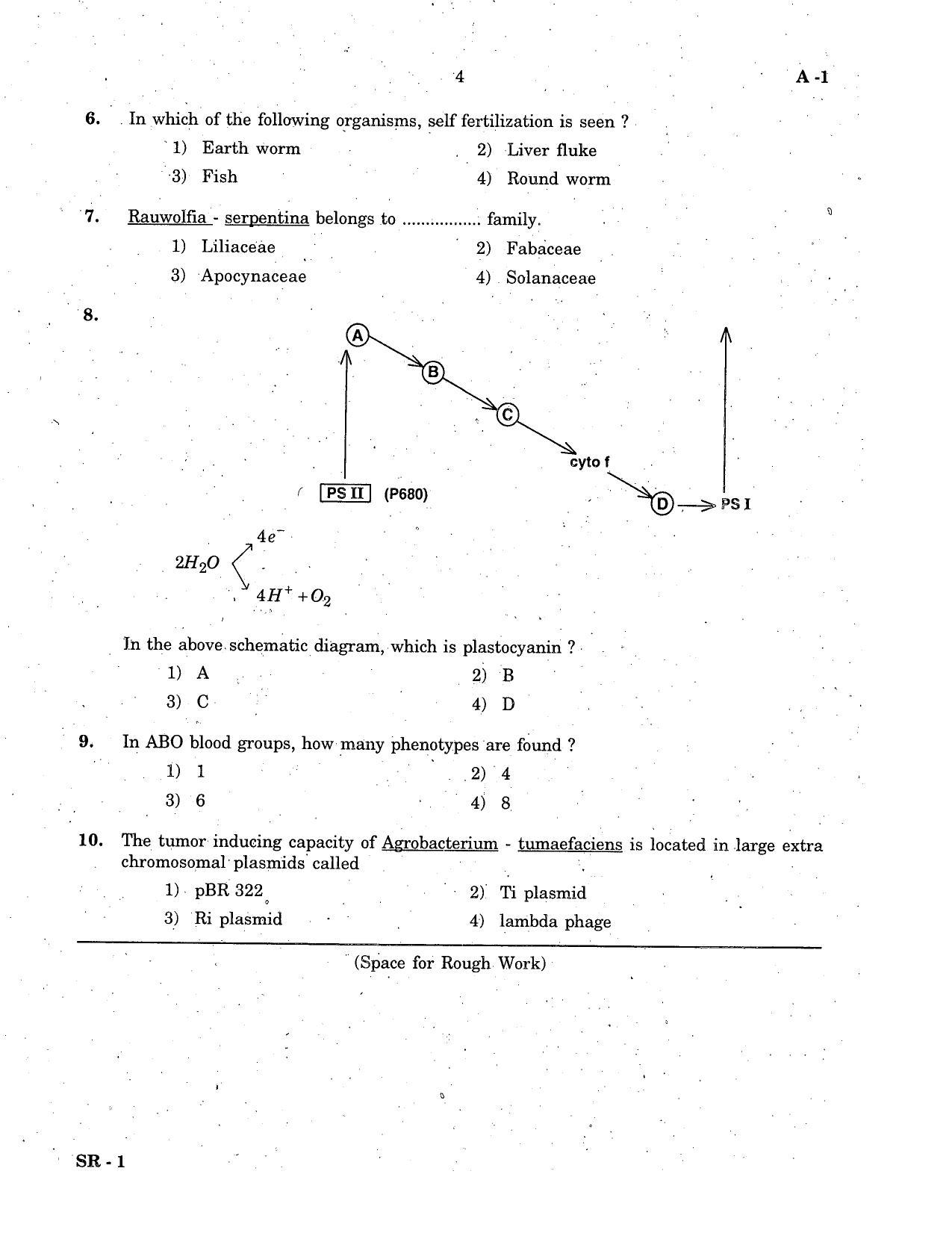 KCET Biology 2007 Question Papers - Page 4
