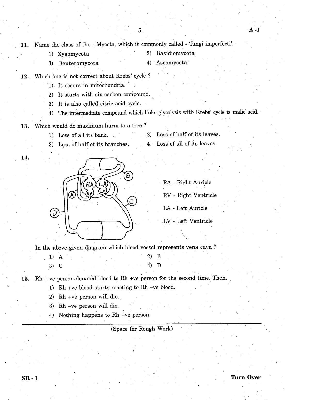 KCET Biology 2007 Question Papers - Page 5
