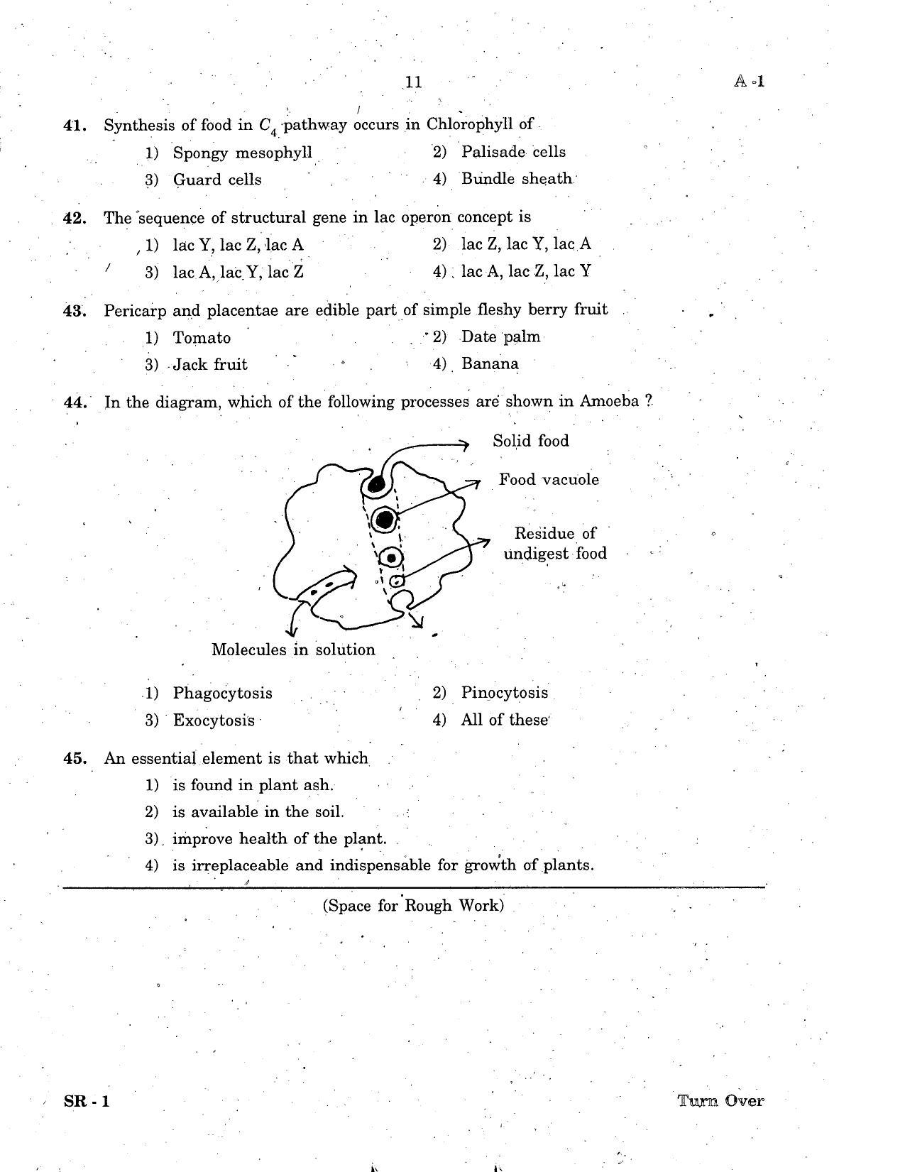 KCET Biology 2007 Question Papers - Page 11