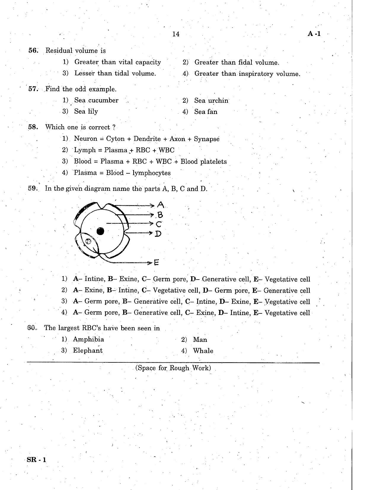 KCET Biology 2007 Question Papers - Page 14