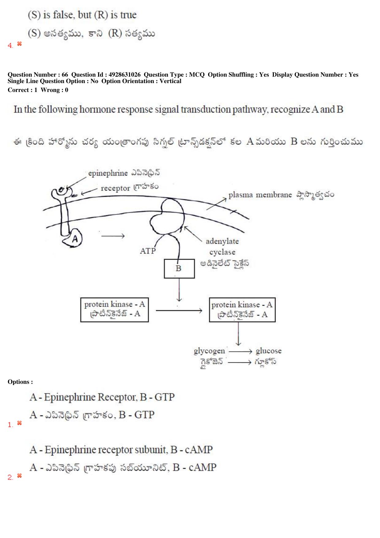 TS EAMCET 2018 Agriculture and Medical Question Paper with Key (2 May 2018 Forenoon) - Page 62