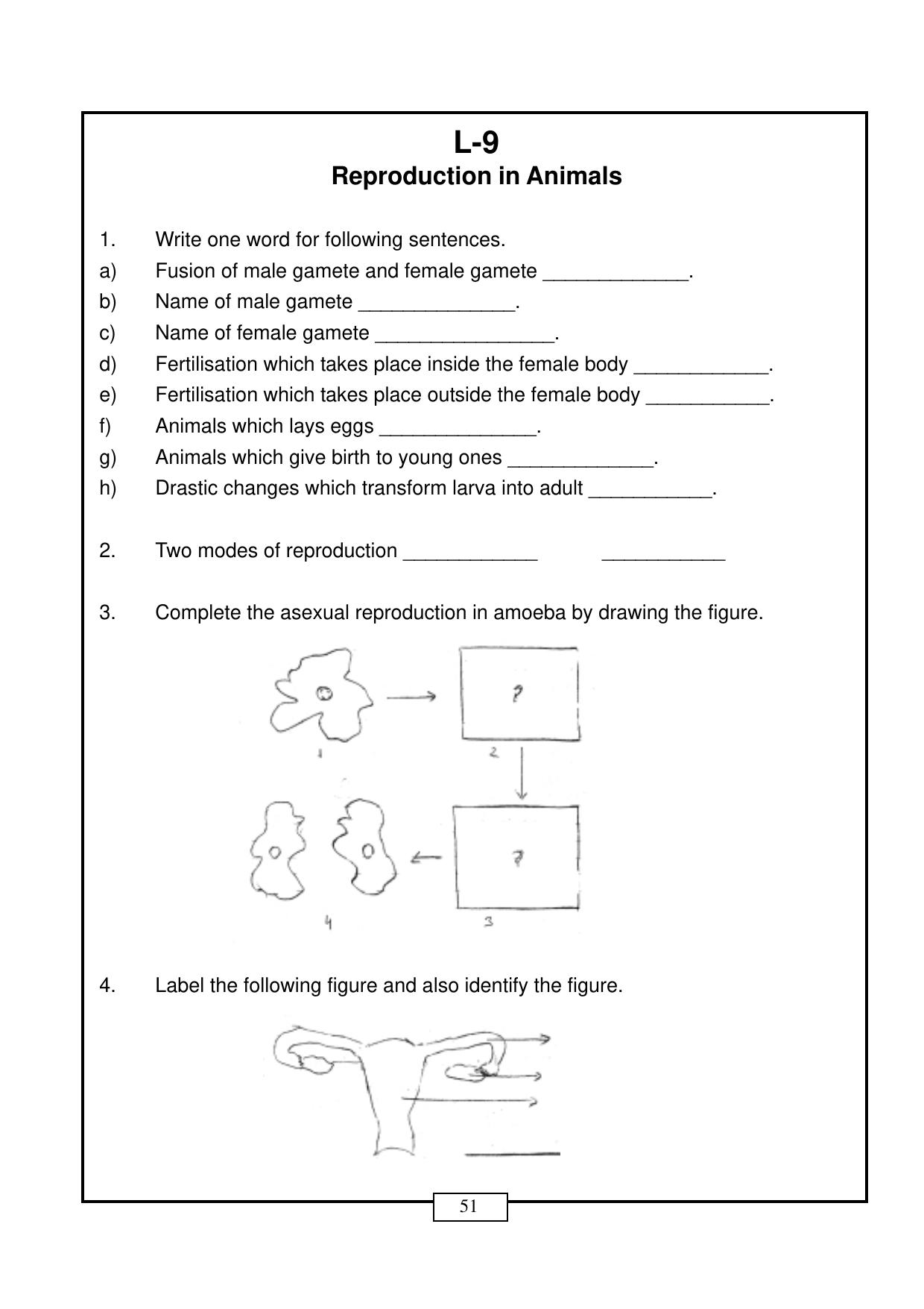 CBSE Worksheets for Class 8 Science Reproduction in Animals Part B Assignment - Page 1