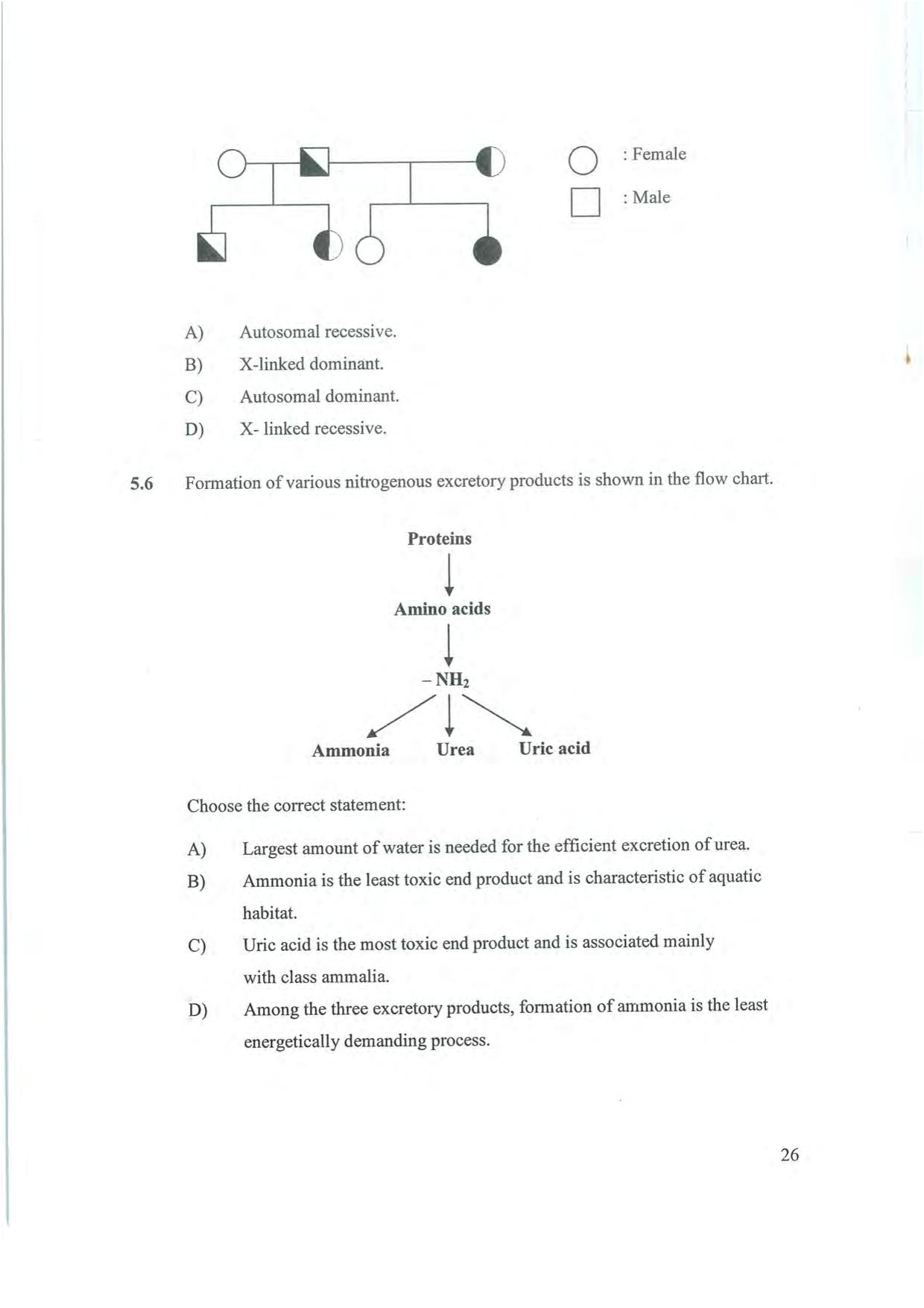 NEST 2008 Question Paper - Page 26