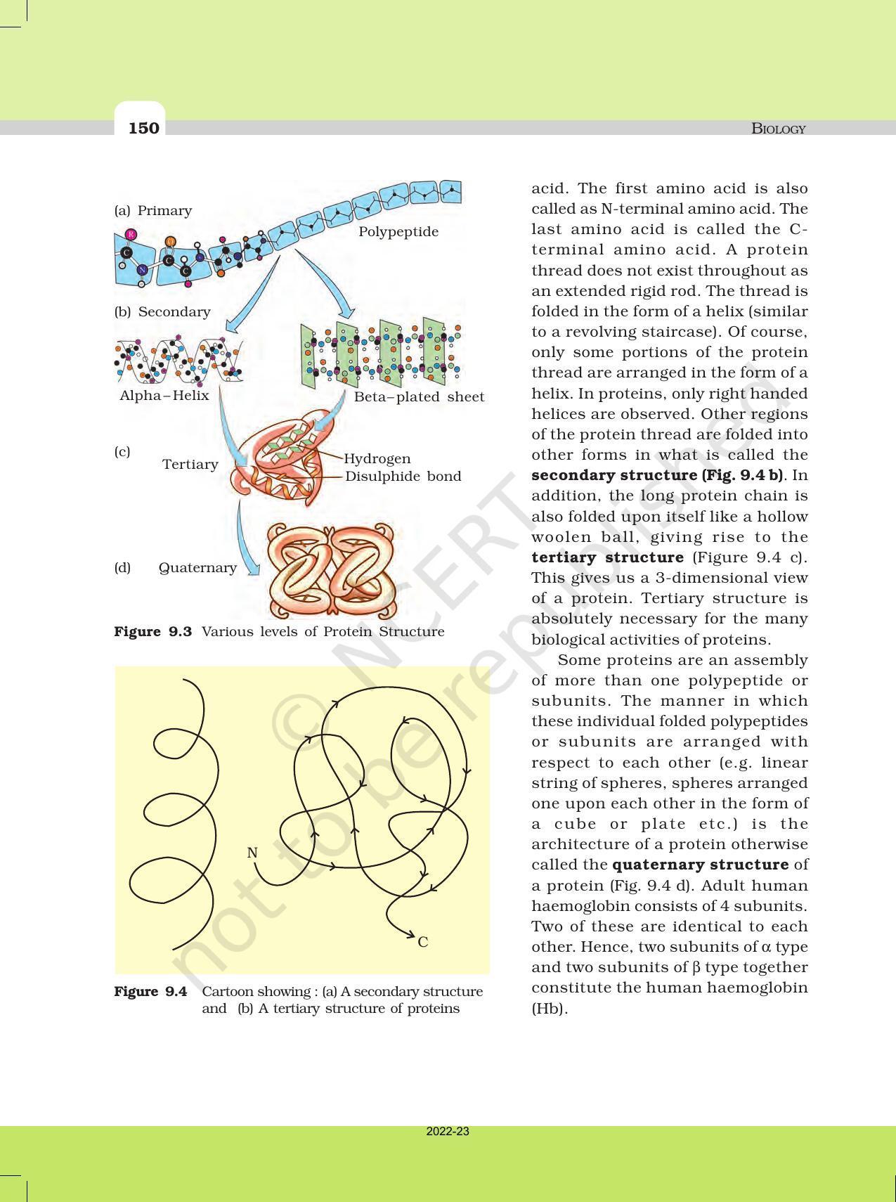 NCERT Book for Class 11 Biology Chapter 9 Biomolecules - Page 9