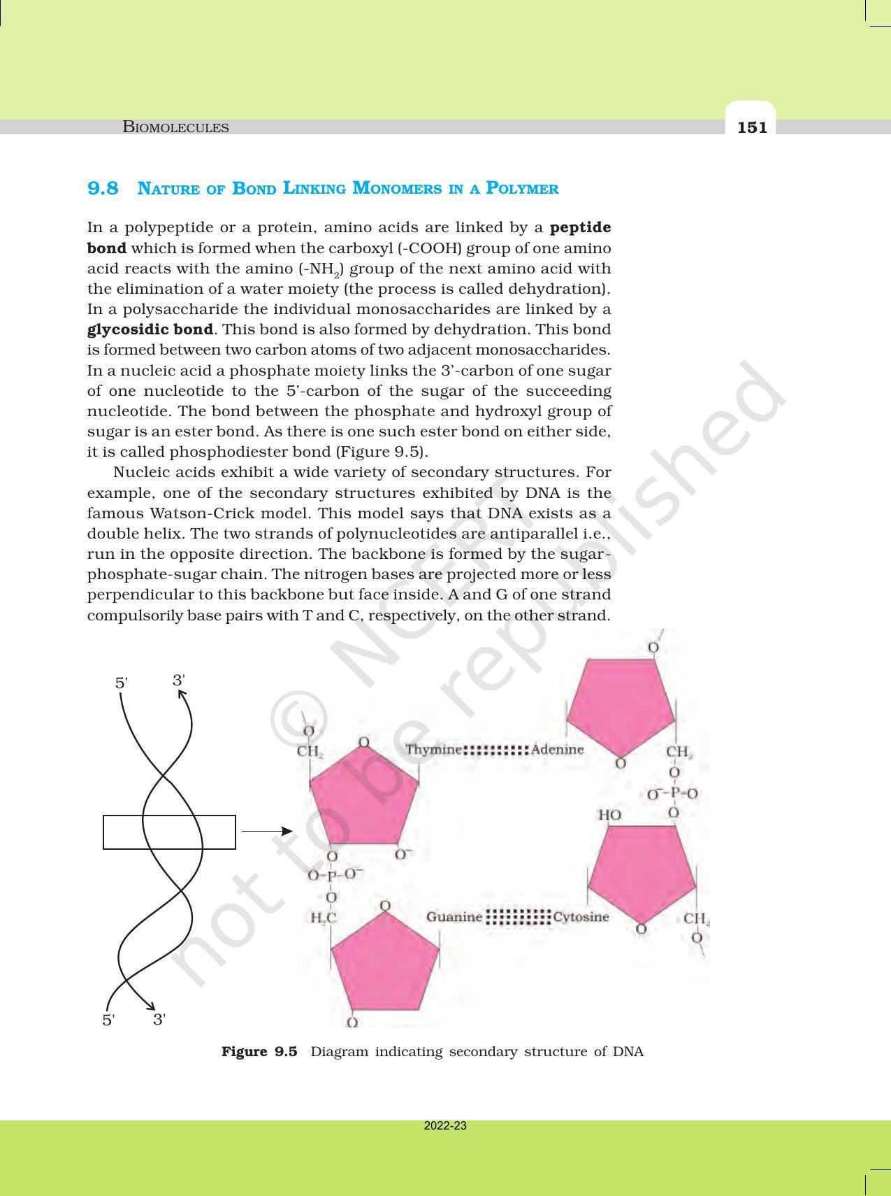 NCERT Book for Class 11 Biology Chapter 9 Biomolecules