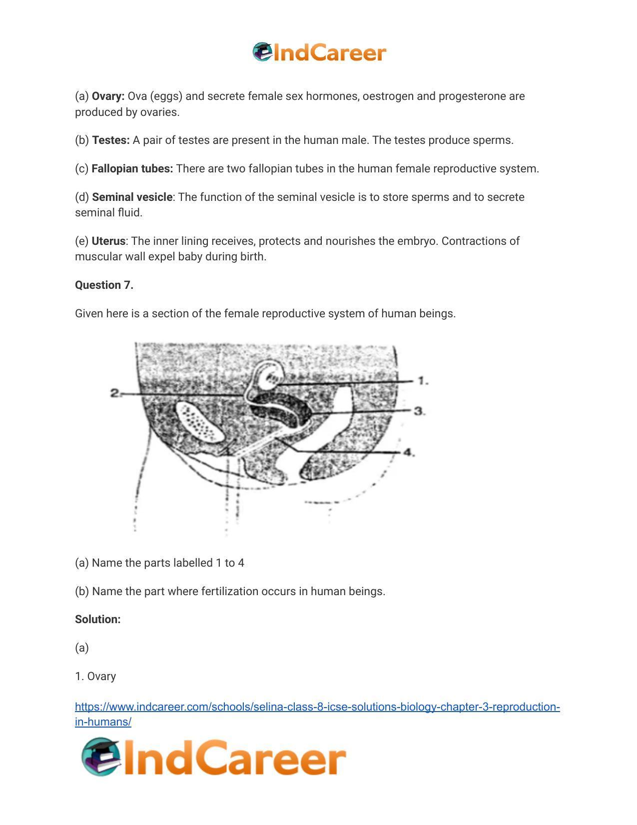 Selina Class 8 ICSE Solutions Biology : Chapter 3- Reproduction in Humans - Page 7