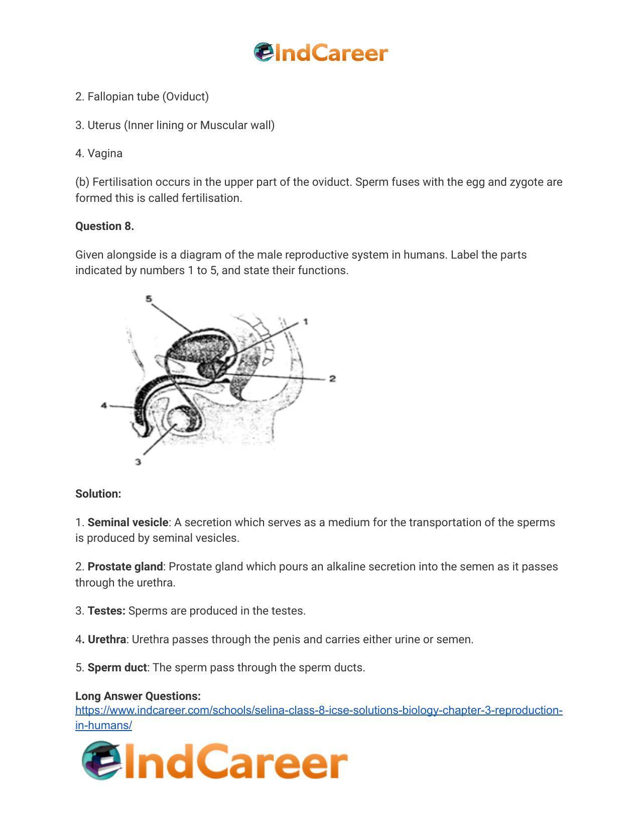 Selina Class 8 ICSE Solutions Biology : Chapter 3- Reproduction in Humans - Page 8