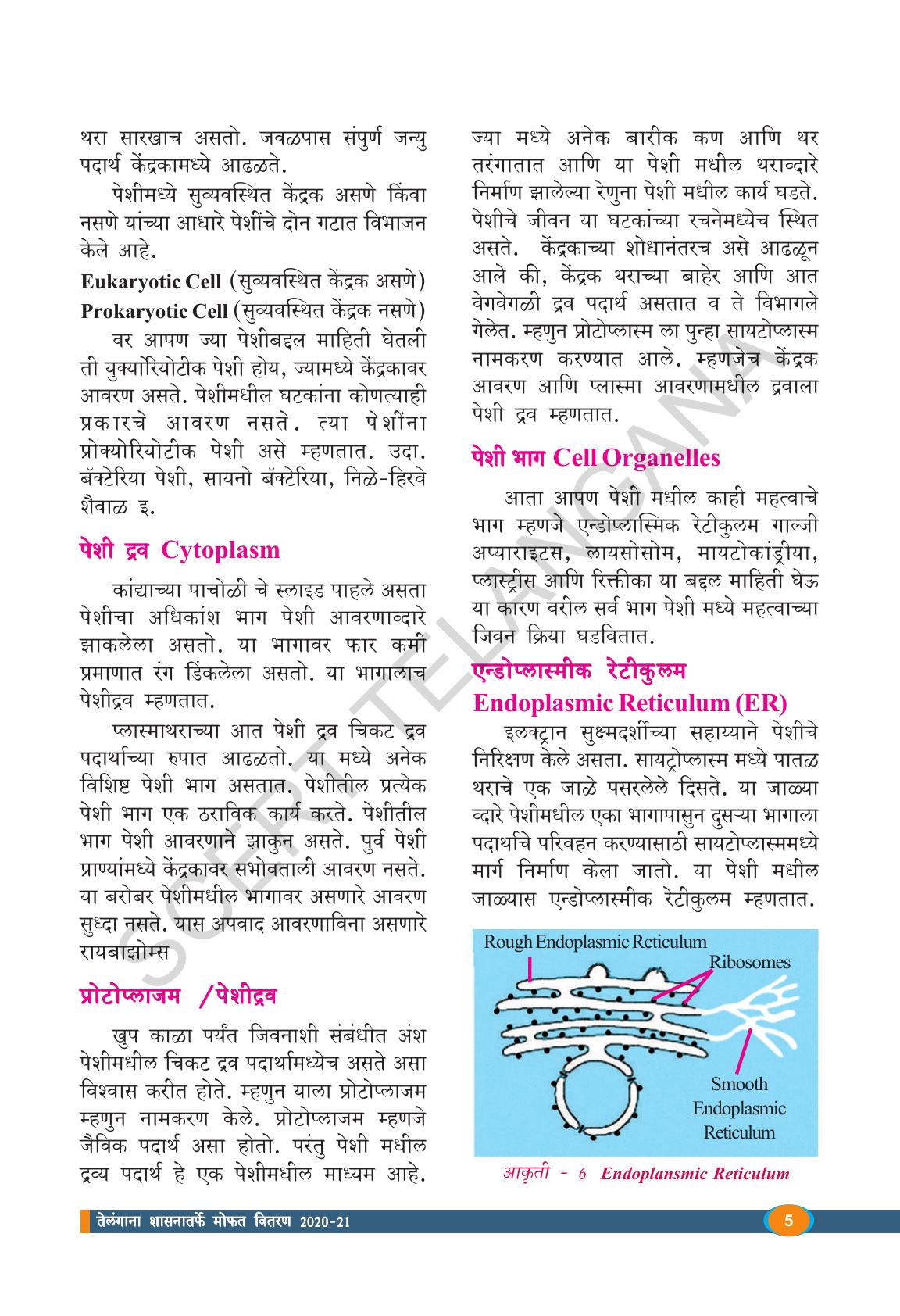 TS SCERT Class 9 Biological Science(Marathi Medium) Text Book - Page 17