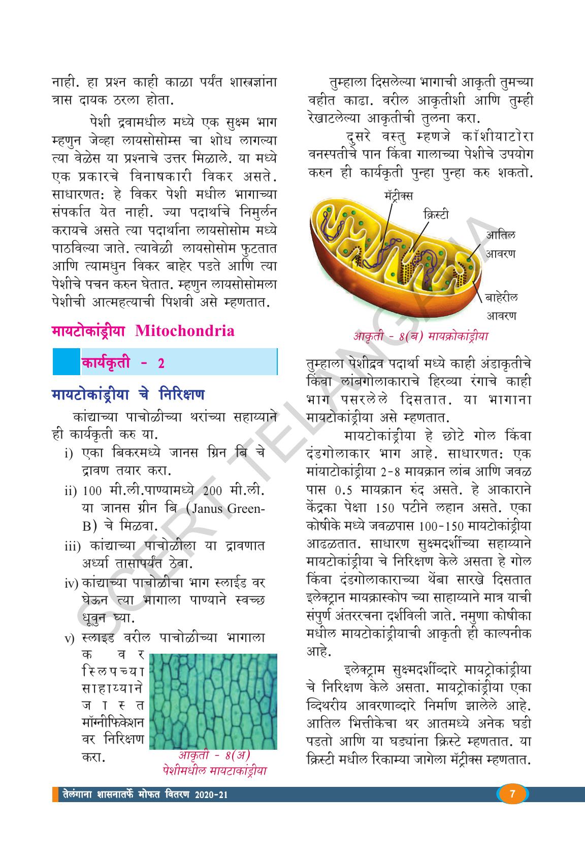TS SCERT Class 9 Biological Science(Marathi Medium) Text Book - Page 19