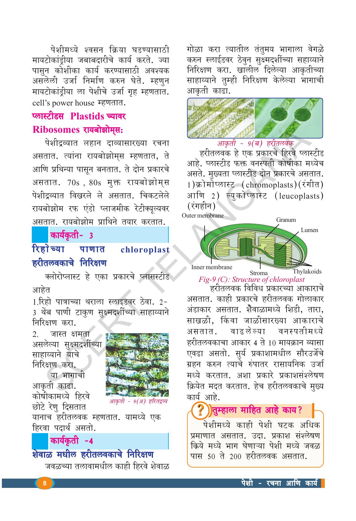 TS SCERT Class 9 Biological Science(Marathi Medium) Text Book - Page 20