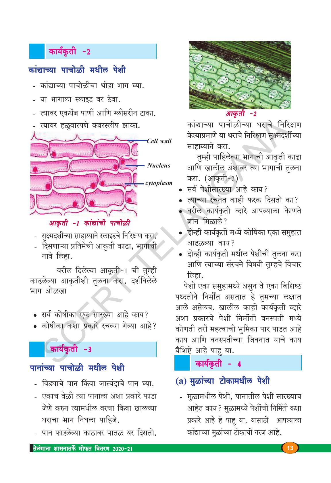 TS SCERT Class 9 Biological Science(Marathi Medium) Text Book - Page 25