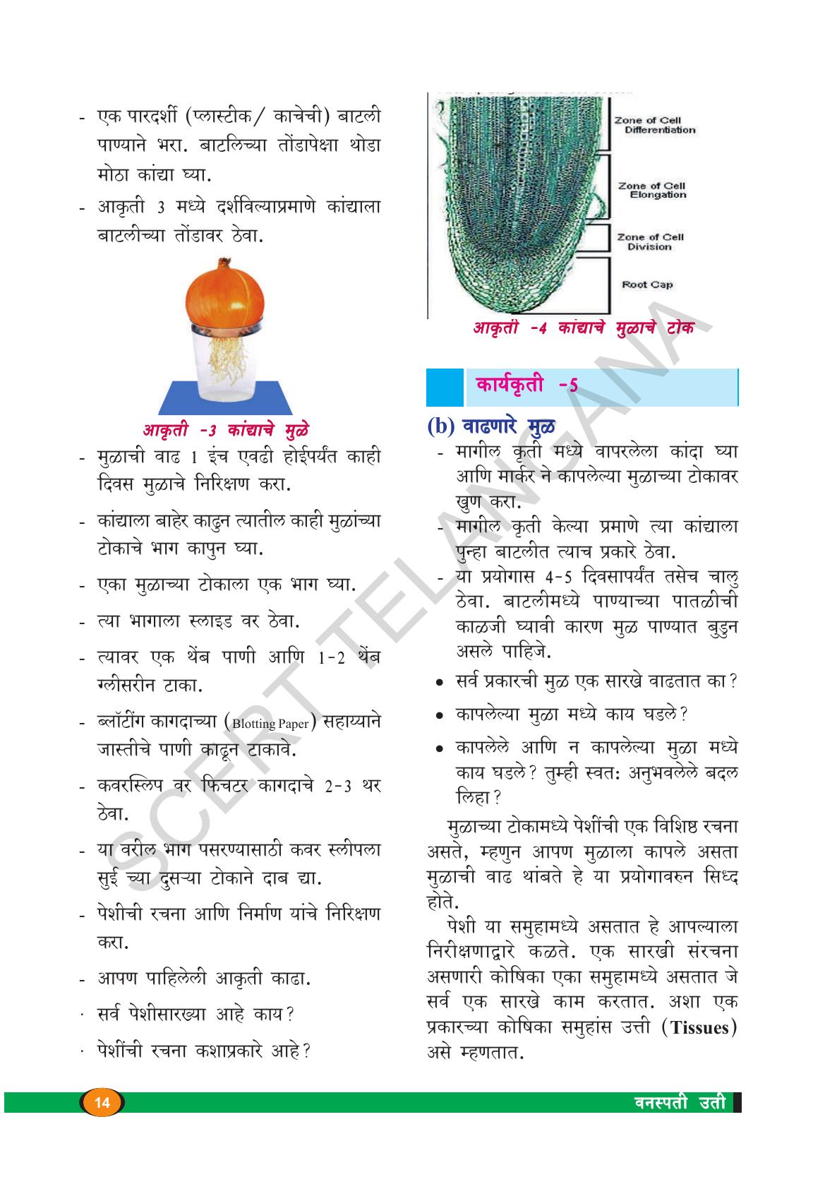 TS SCERT Class 9 Biological Science(Marathi Medium) Text Book - Page 26
