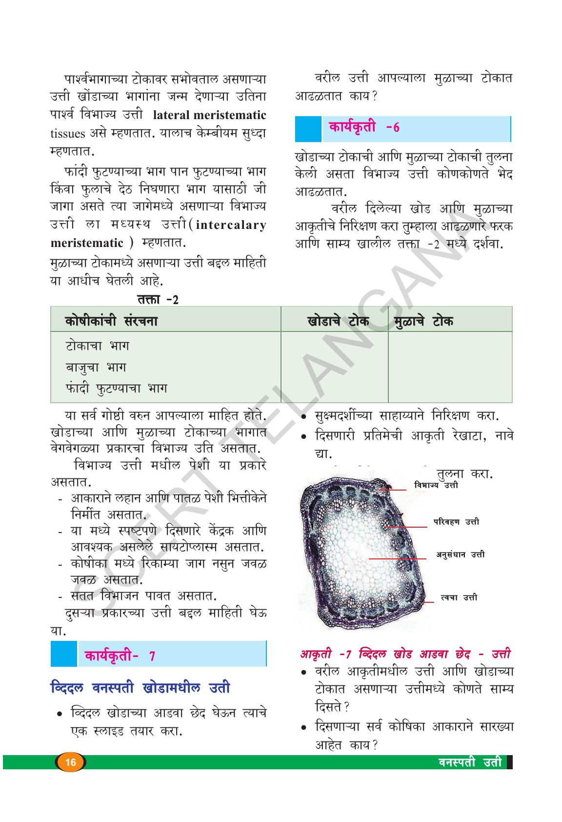 TS SCERT Class 9 Biological Science(Marathi Medium) Text Book - Page 28