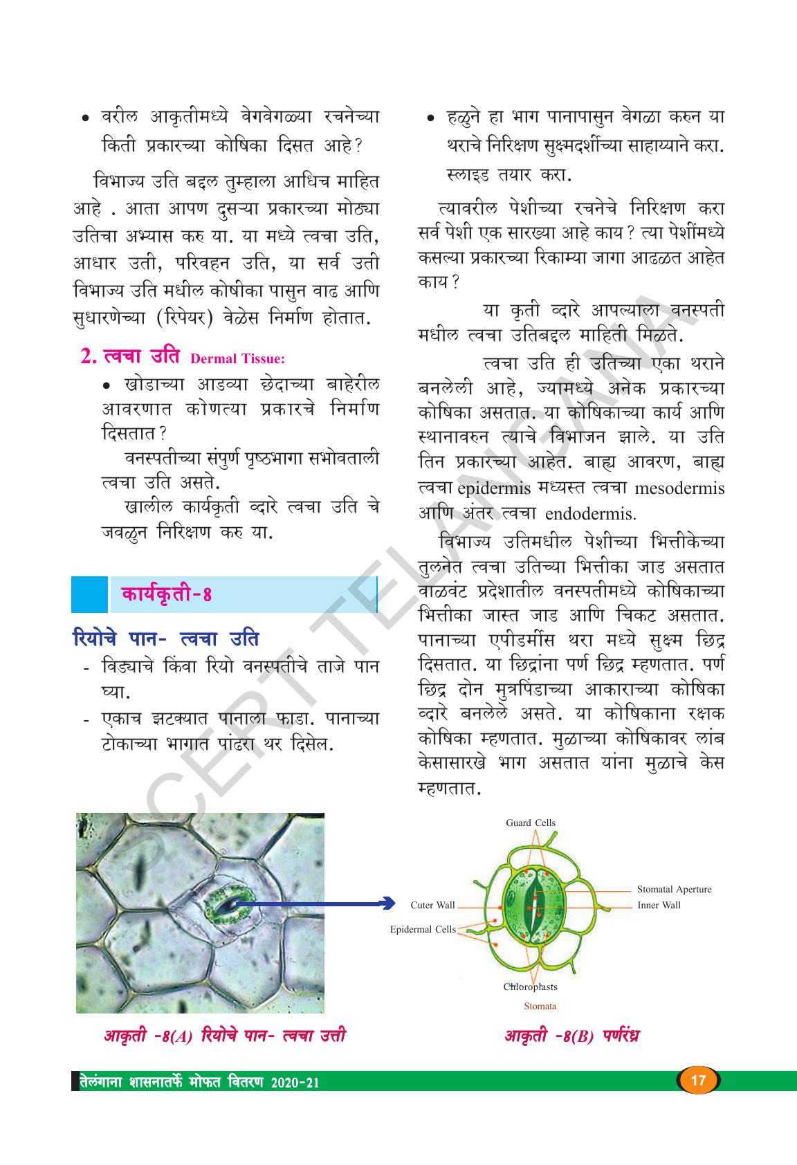 TS SCERT Class 9 Biological Science(Marathi Medium) Text Book - Page 29