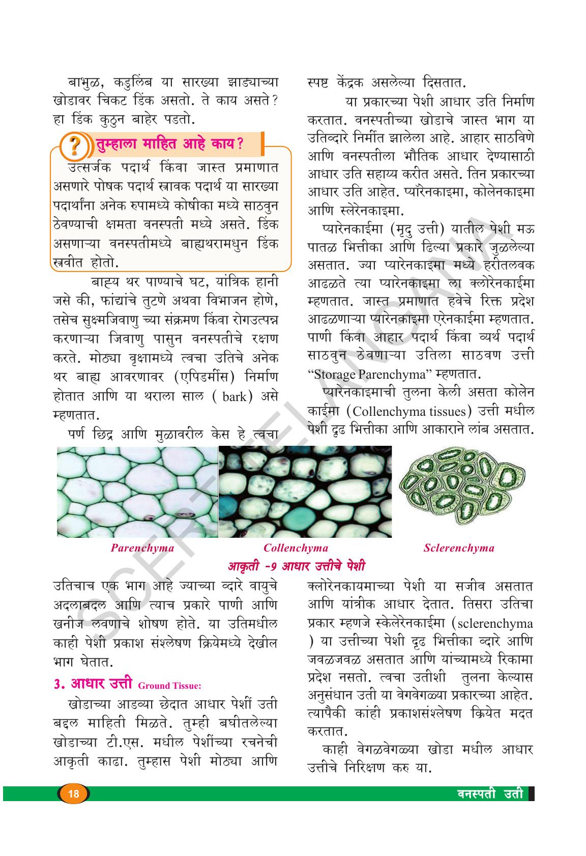 TS SCERT Class 9 Biological Science(Marathi Medium) Text Book - Page 30