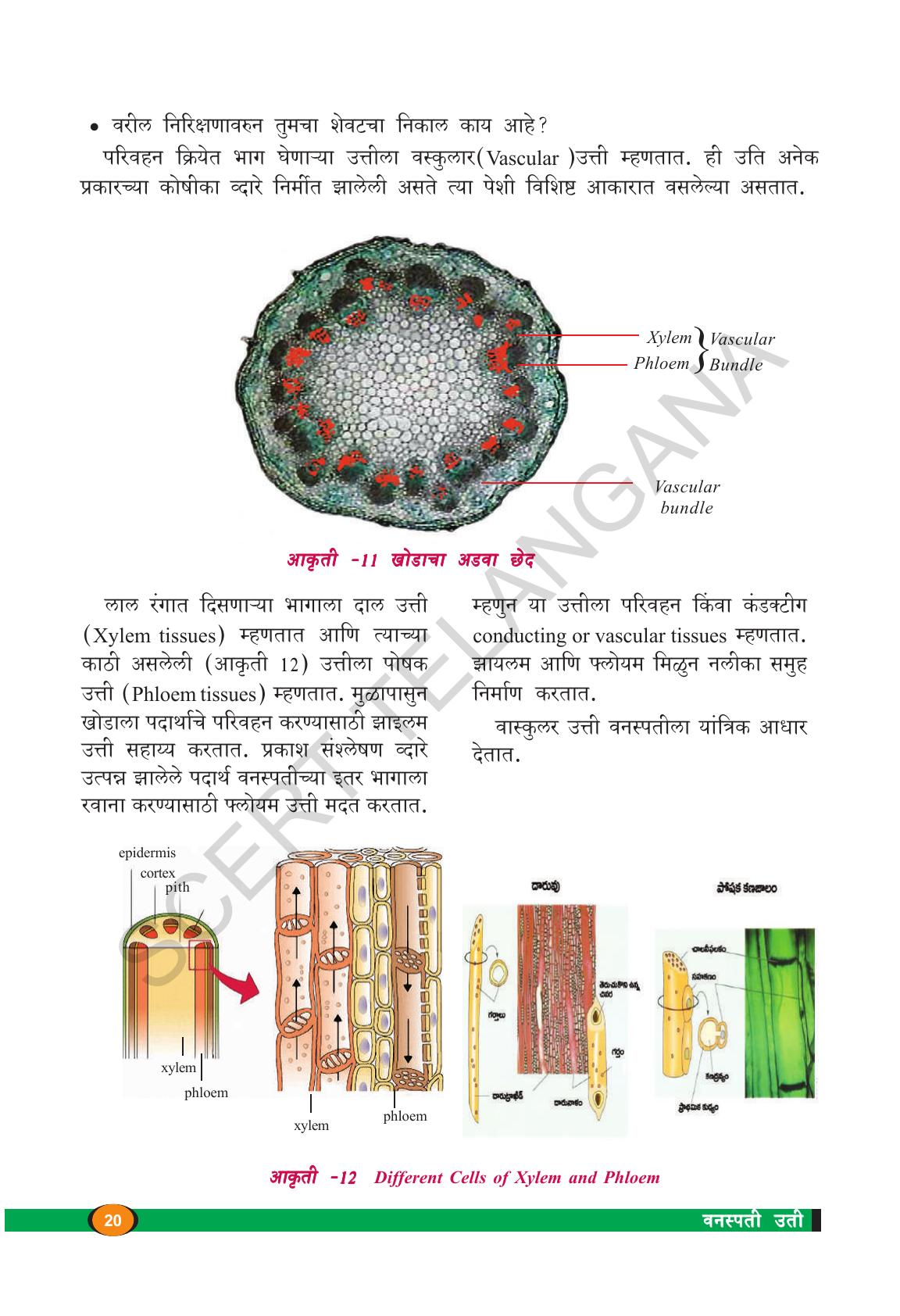 TS SCERT Class 9 Biological Science(Marathi Medium) Text Book - Page 32