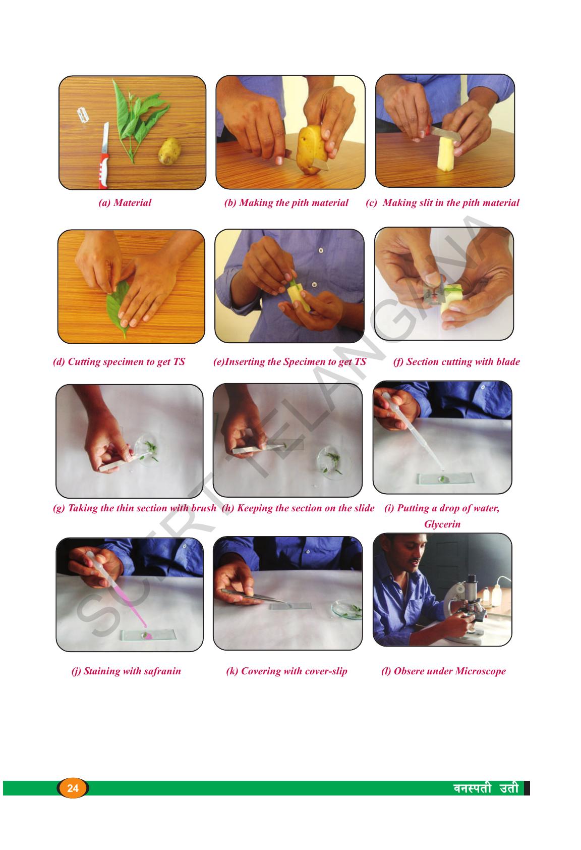 TS SCERT Class 9 Biological Science(Marathi Medium) Text Book - Page 36