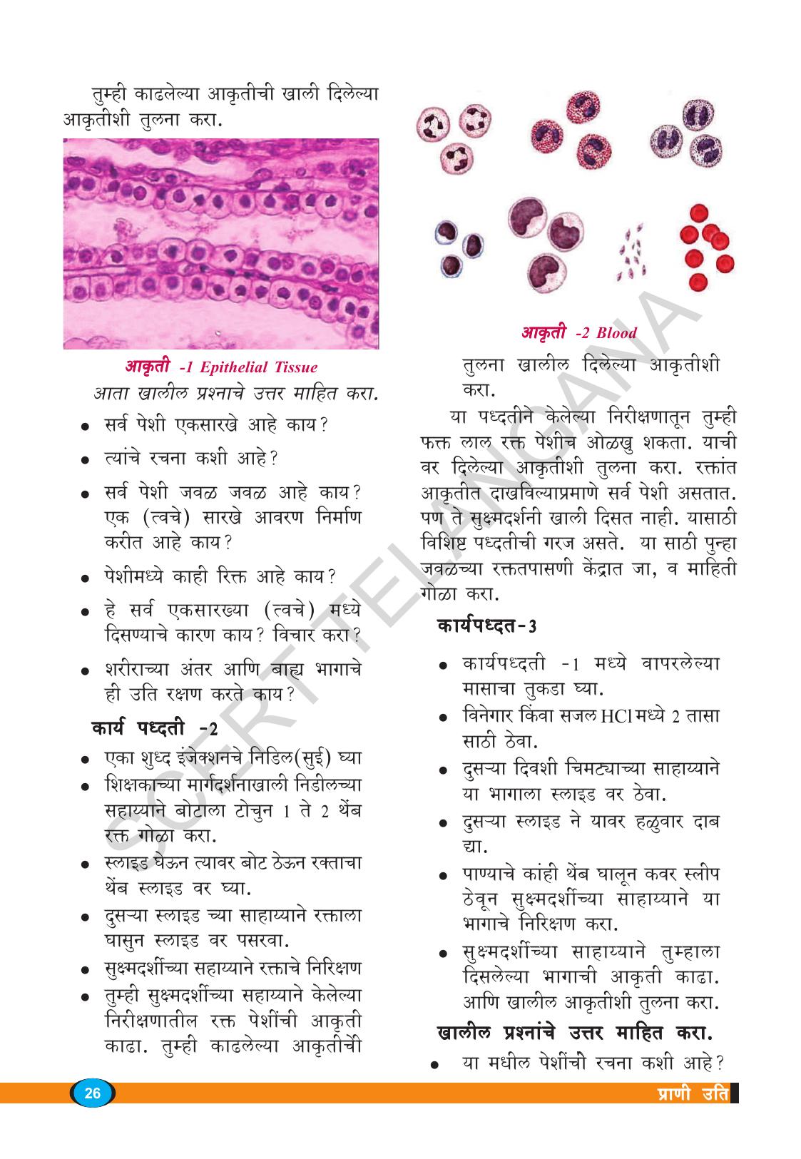 TS SCERT Class 9 Biological Science(Marathi Medium) Text Book - Page 38