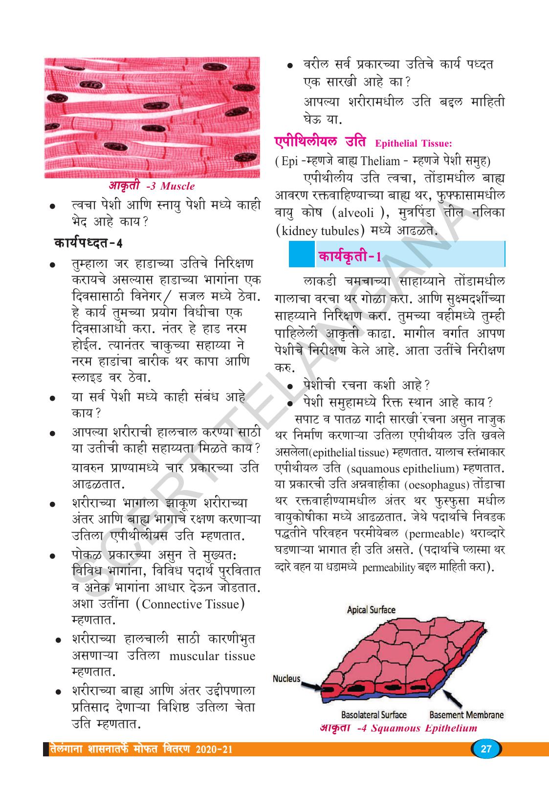 TS SCERT Class 9 Biological Science(Marathi Medium) Text Book - Page 39