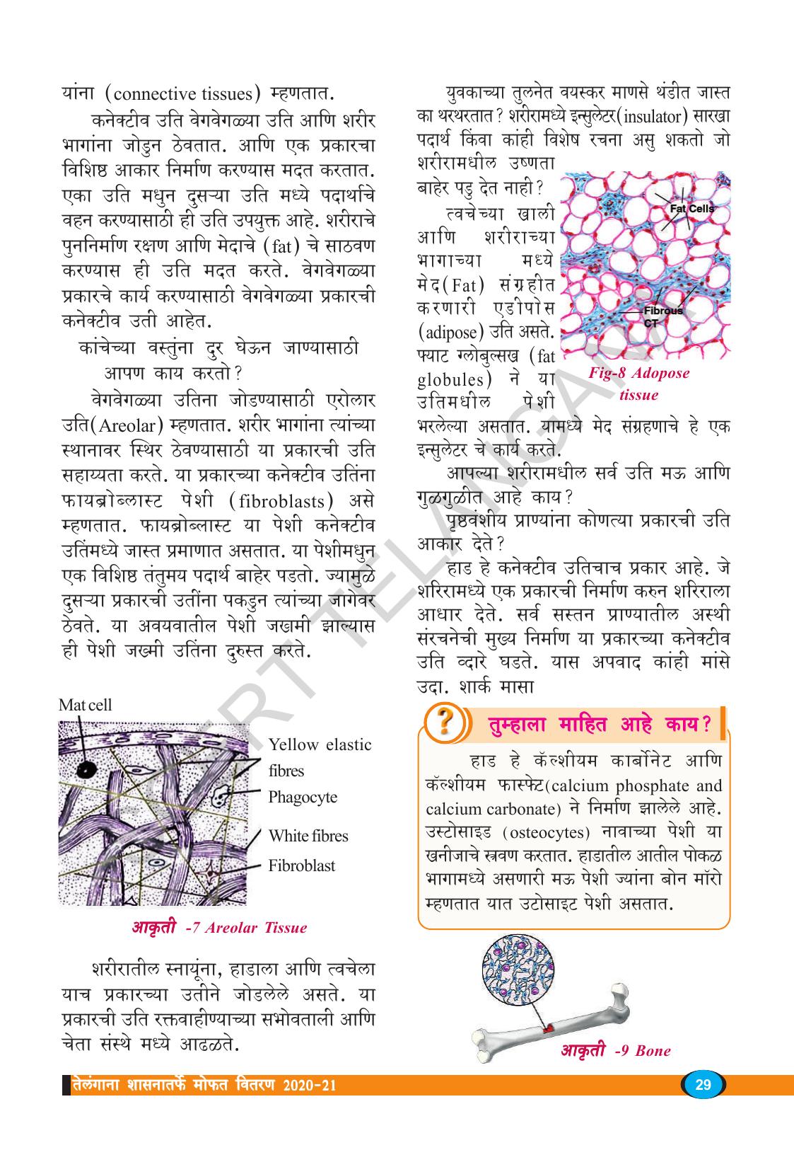 TS SCERT Class 9 Biological Science(Marathi Medium) Text Book - Page 41