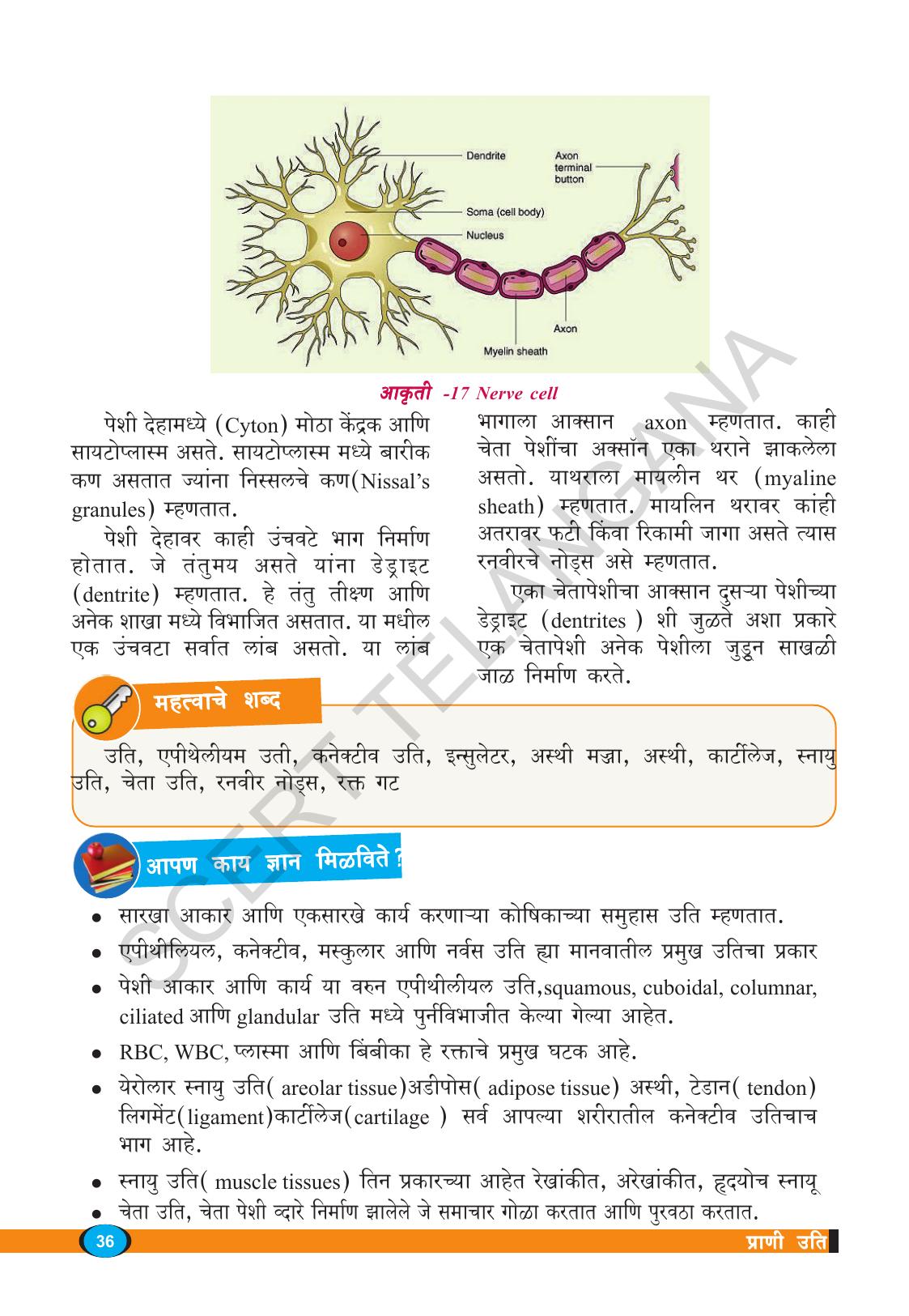 TS SCERT Class 9 Biological Science(Marathi Medium) Text Book - Page 48