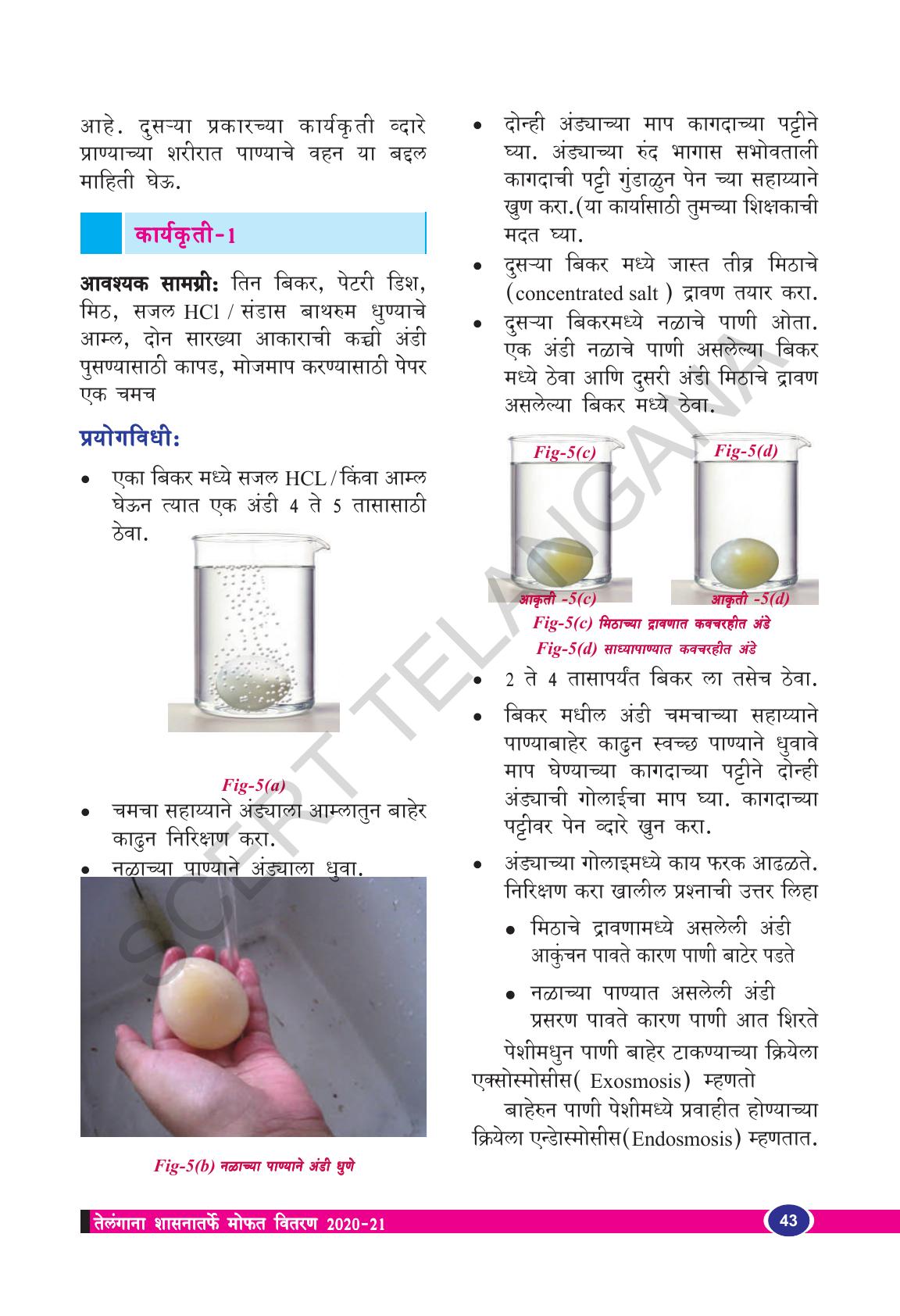 TS SCERT Class 9 Biological Science(Marathi Medium) Text Book - Page 55