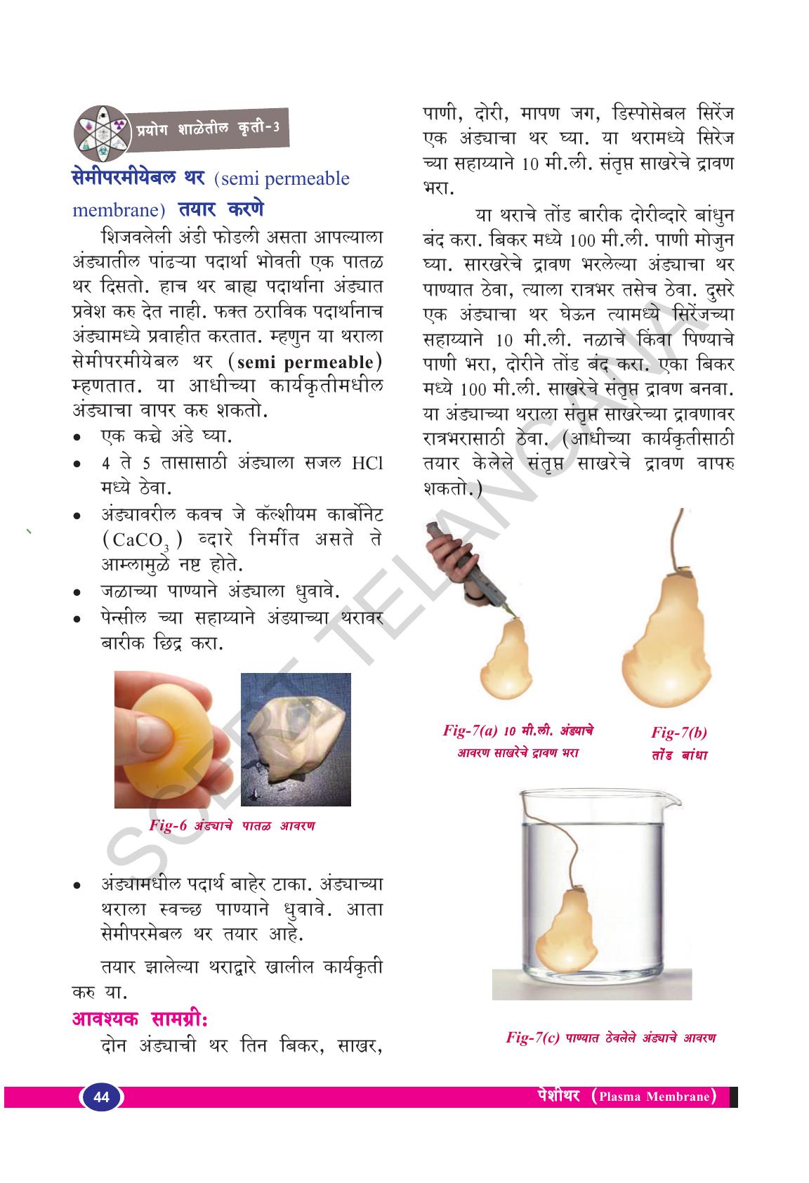 TS SCERT Class 9 Biological Science(Marathi Medium) Text Book - Page 56