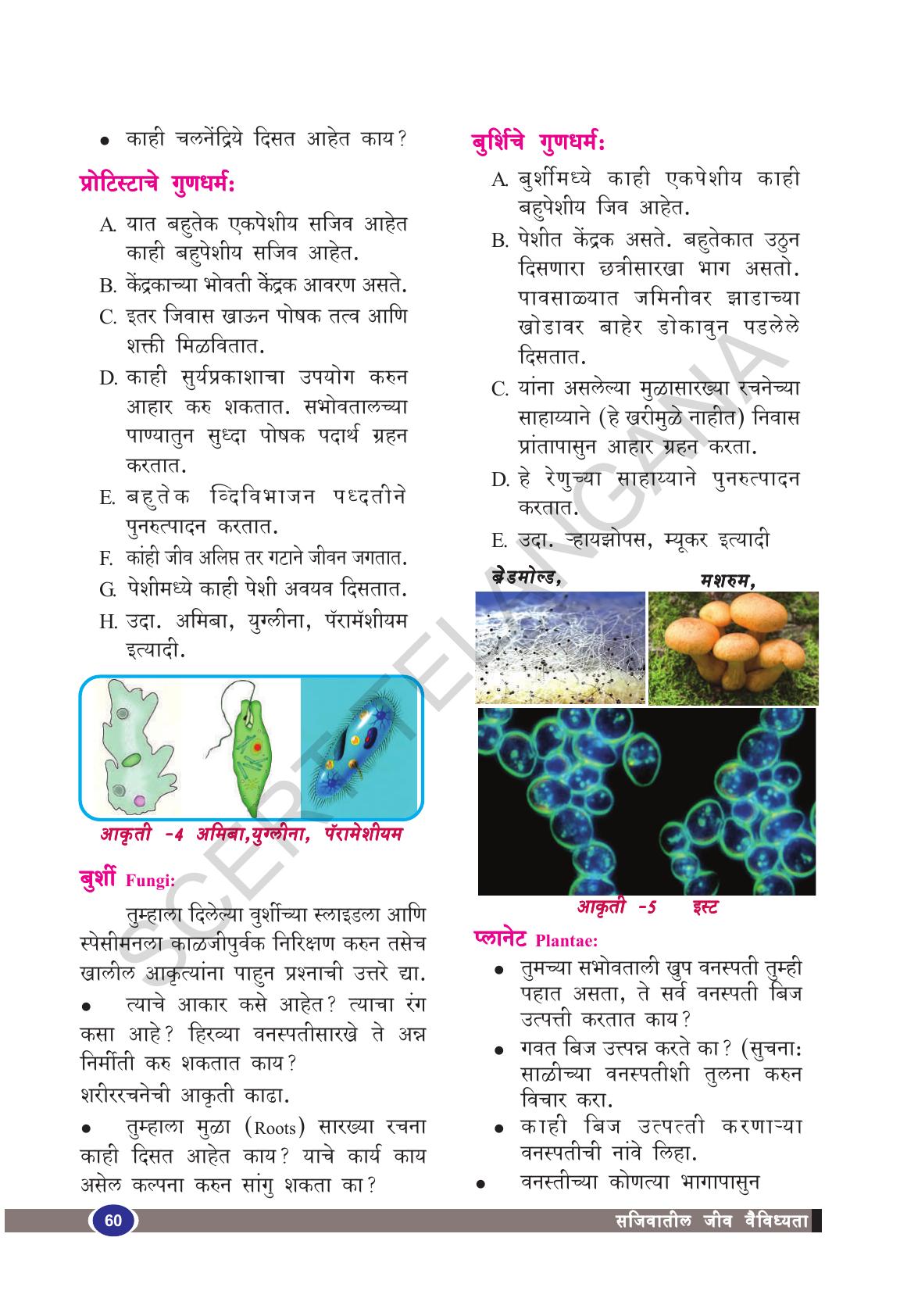 TS SCERT Class 9 Biological Science(Marathi Medium) Text Book - Page 72