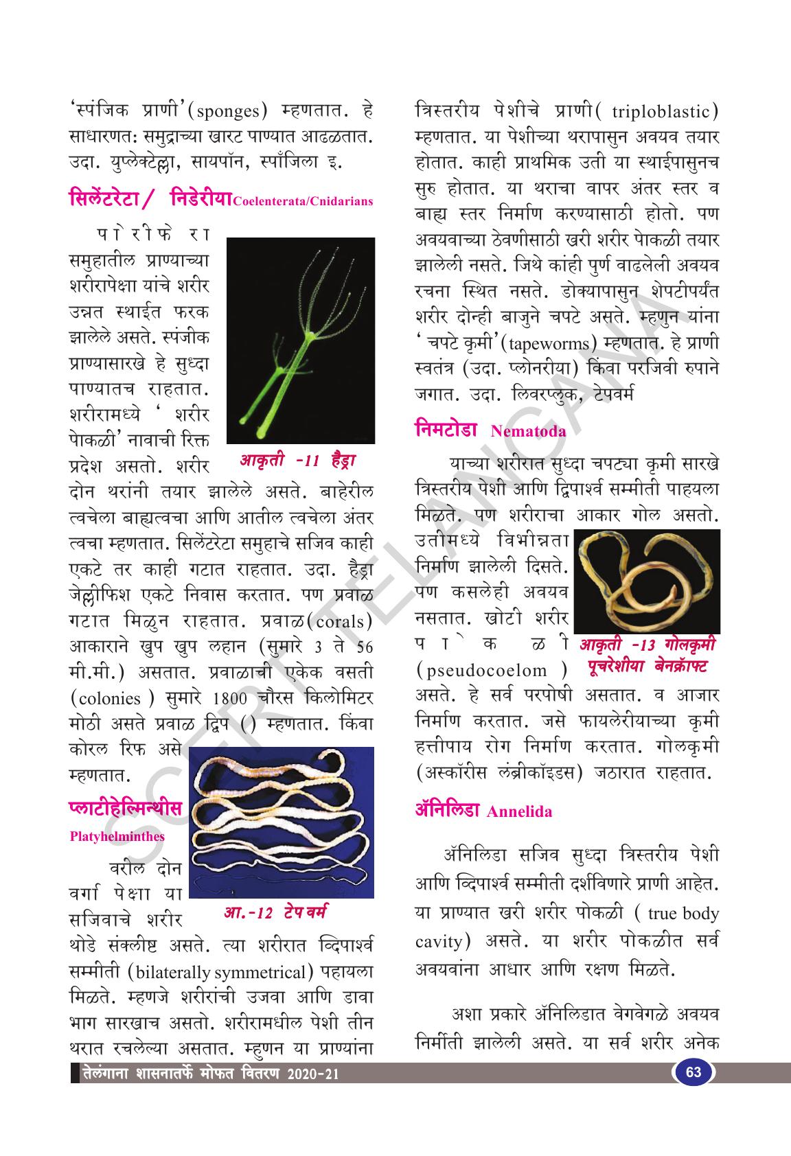 TS SCERT Class 9 Biological Science(Marathi Medium) Text Book - Page 75