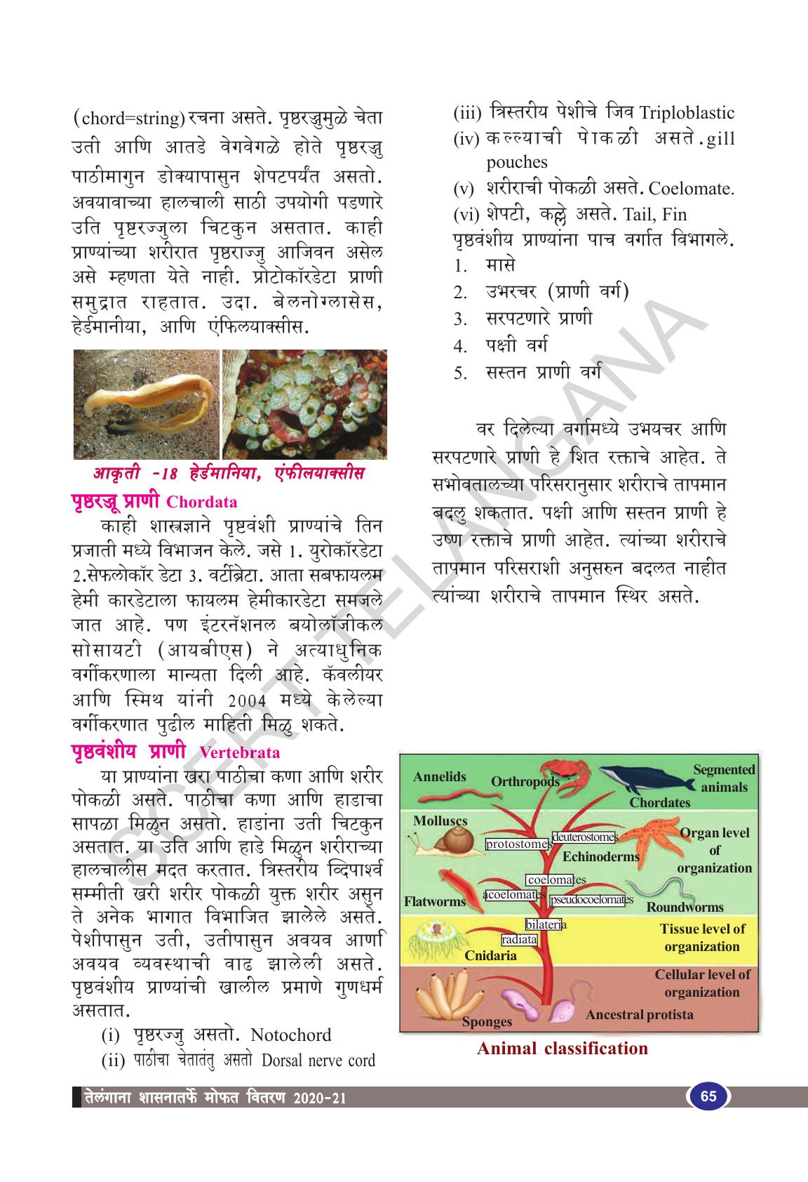 TS SCERT Class 9 Biological Science(Marathi Medium) Text Book - Page 77