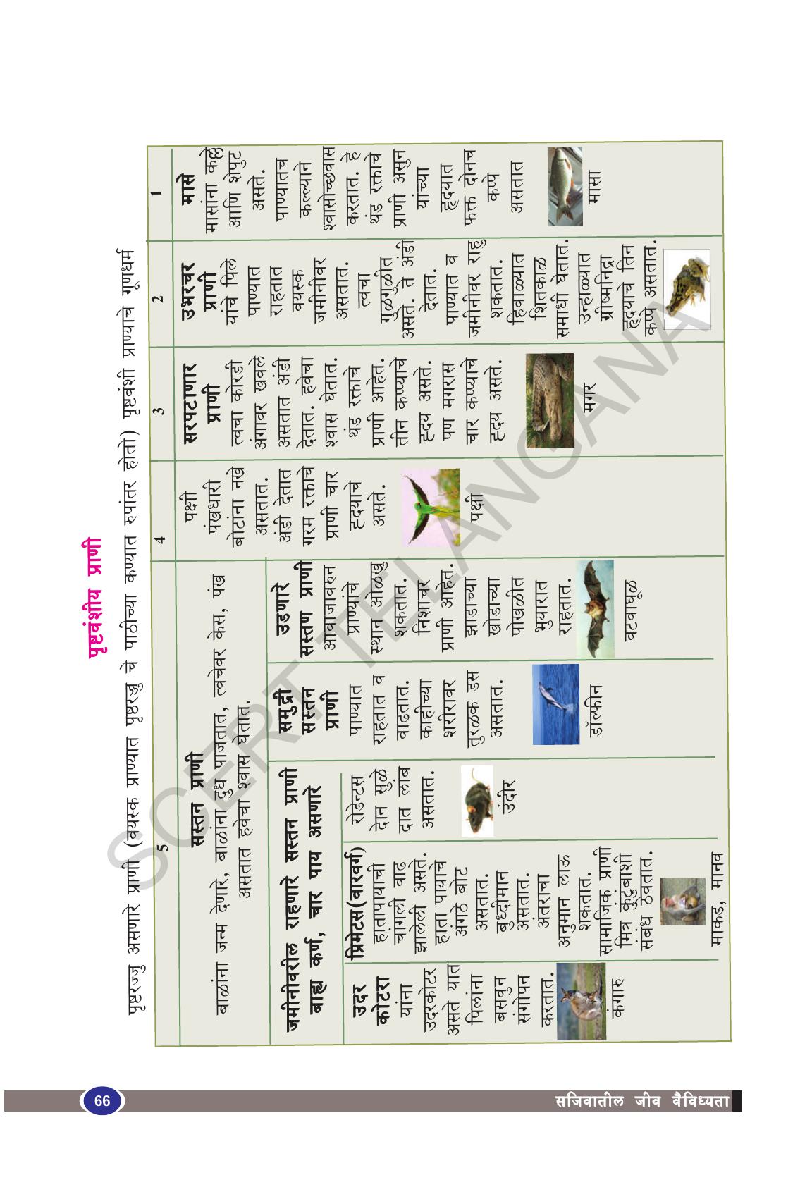 TS SCERT Class 9 Biological Science(Marathi Medium) Text Book - Page 78