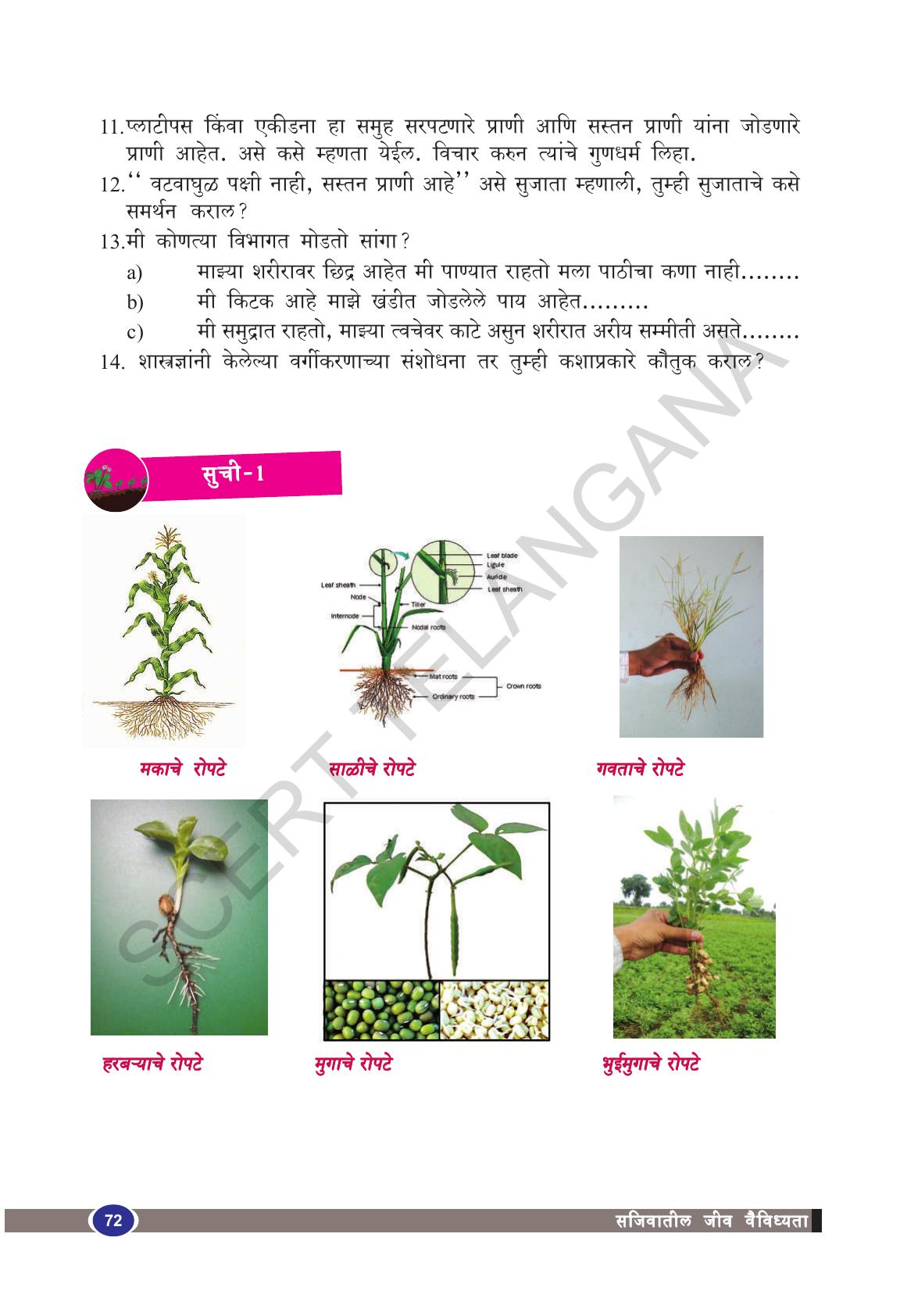 TS SCERT Class 9 Biological Science(Marathi Medium) Text Book - Page 84