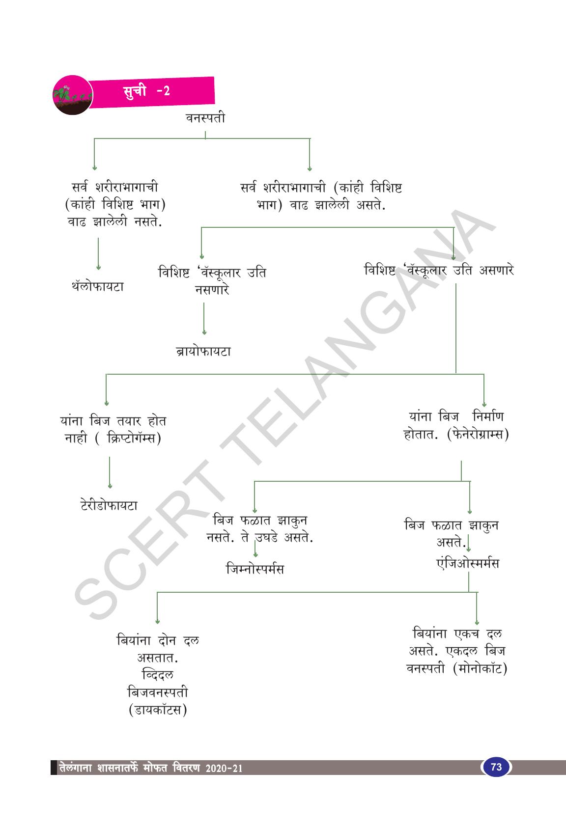 TS SCERT Class 9 Biological Science(Marathi Medium) Text Book - Page 85