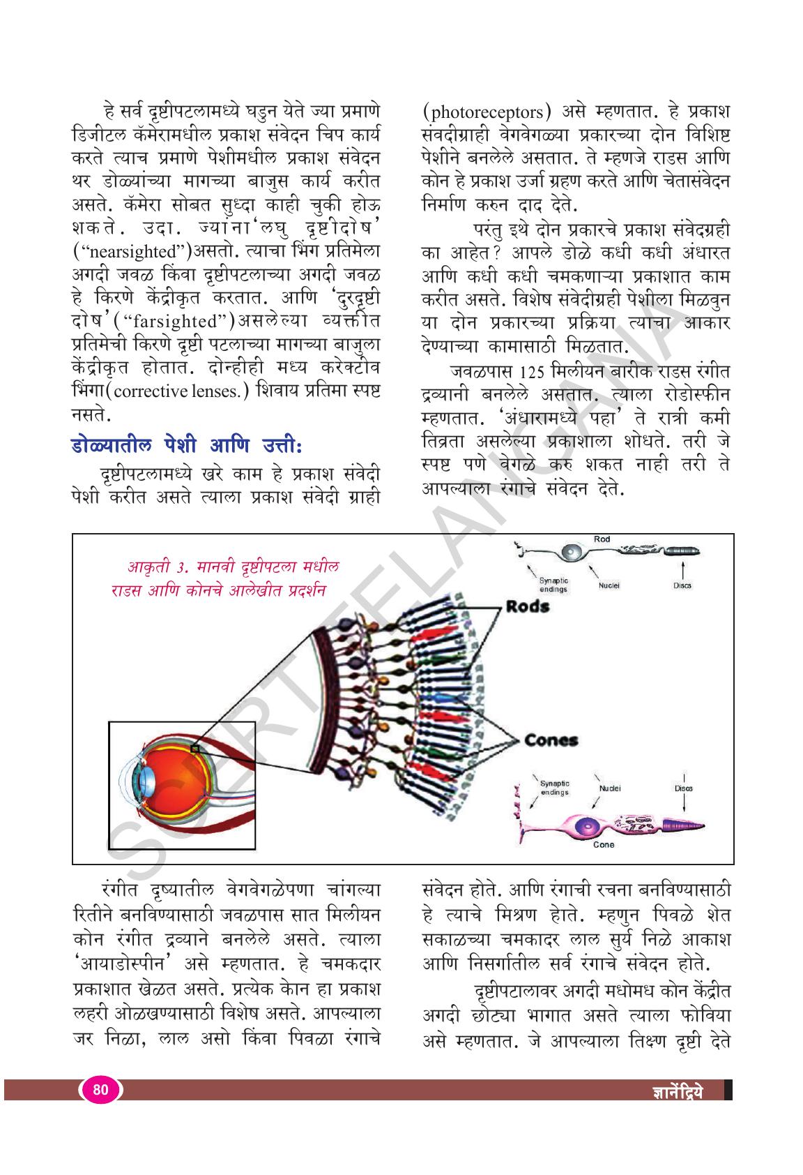TS SCERT Class 9 Biological Science(Marathi Medium) Text Book - Page 92